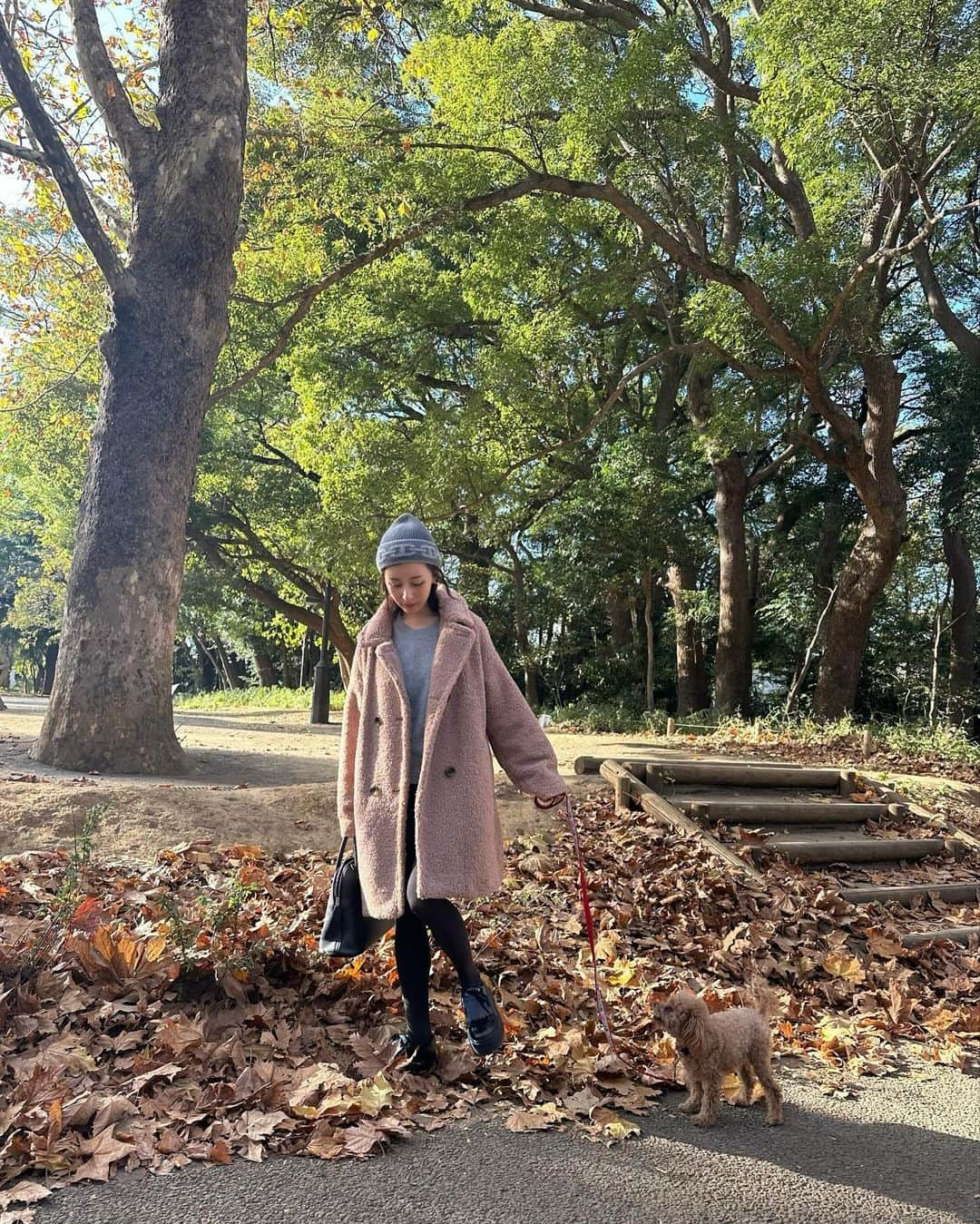 水野佐彩さんのインスタグラム写真 - (水野佐彩Instagram)「・ 🧸🤎🤍🍂🍁 クマさん着て我が家のクマちゃんたちとお散歩🐶❤️  #fbyrosso #uniqloanyahindmarch #テディベアコート」12月3日 22時14分 - saaya_mizuno