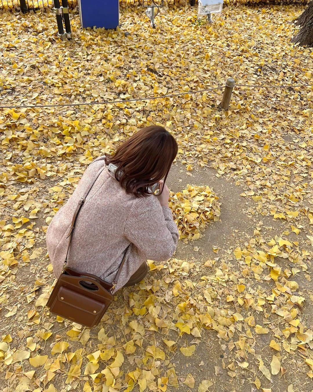 きりまるさんのインスタグラム写真 - (きりまるInstagram)「今年 ぎりっぎり紅葉みれたよ〜🍁🎄 昭和記念公園のいちょう綺麗やった〜🫶🏻  秋がいちばん好きやのに 今年も秒でおわってしまったよ👨🏻‍🦲🍠  めちゃくちゃ綺麗やったな〜 クリスマスなにしよっかな〜🎄🎅🏻  わははは^_^ .」12月3日 22時37分 - kirimaruuu