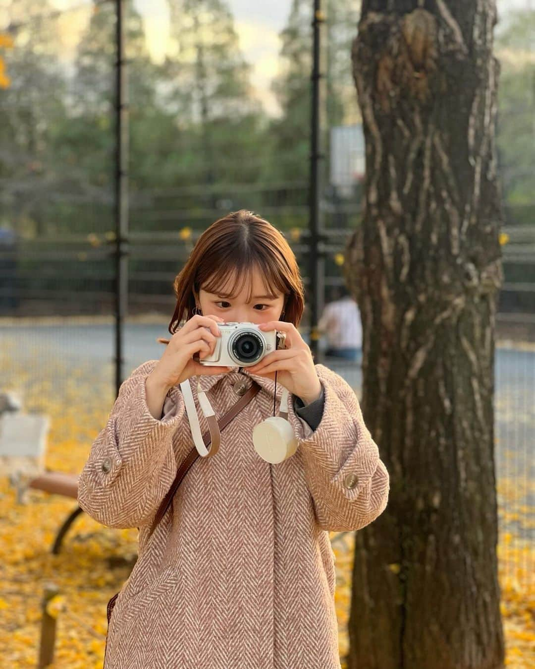 きりまるさんのインスタグラム写真 - (きりまるInstagram)「今年 ぎりっぎり紅葉みれたよ〜🍁🎄 昭和記念公園のいちょう綺麗やった〜🫶🏻  秋がいちばん好きやのに 今年も秒でおわってしまったよ👨🏻‍🦲🍠  めちゃくちゃ綺麗やったな〜 クリスマスなにしよっかな〜🎄🎅🏻  わははは^_^ .」12月3日 22時37分 - kirimaruuu