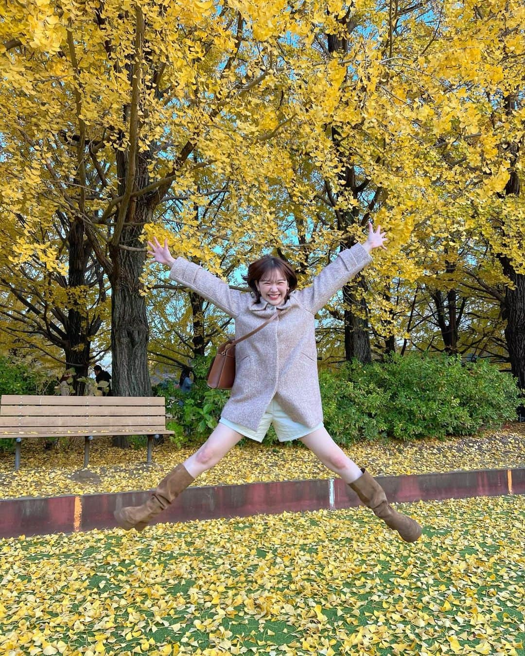 きりまるさんのインスタグラム写真 - (きりまるInstagram)「今年 ぎりっぎり紅葉みれたよ〜🍁🎄 昭和記念公園のいちょう綺麗やった〜🫶🏻  秋がいちばん好きやのに 今年も秒でおわってしまったよ👨🏻‍🦲🍠  めちゃくちゃ綺麗やったな〜 クリスマスなにしよっかな〜🎄🎅🏻  わははは^_^ .」12月3日 22時37分 - kirimaruuu