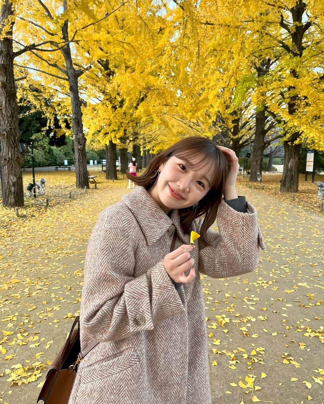 きりまるさんのインスタグラム写真 - (きりまるInstagram)「今年 ぎりっぎり紅葉みれたよ〜🍁🎄 昭和記念公園のいちょう綺麗やった〜🫶🏻  秋がいちばん好きやのに 今年も秒でおわってしまったよ👨🏻‍🦲🍠  めちゃくちゃ綺麗やったな〜 クリスマスなにしよっかな〜🎄🎅🏻  わははは^_^ .」12月3日 22時37分 - kirimaruuu