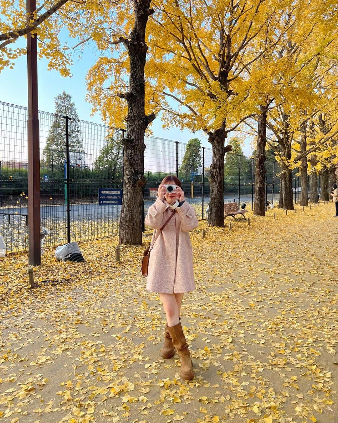 きりまるのインスタグラム：「今年 ぎりっぎり紅葉みれたよ〜🍁🎄 昭和記念公園のいちょう綺麗やった〜🫶🏻  秋がいちばん好きやのに 今年も秒でおわってしまったよ👨🏻‍🦲🍠  めちゃくちゃ綺麗やったな〜 クリスマスなにしよっかな〜🎄🎅🏻  わははは^_^ .」