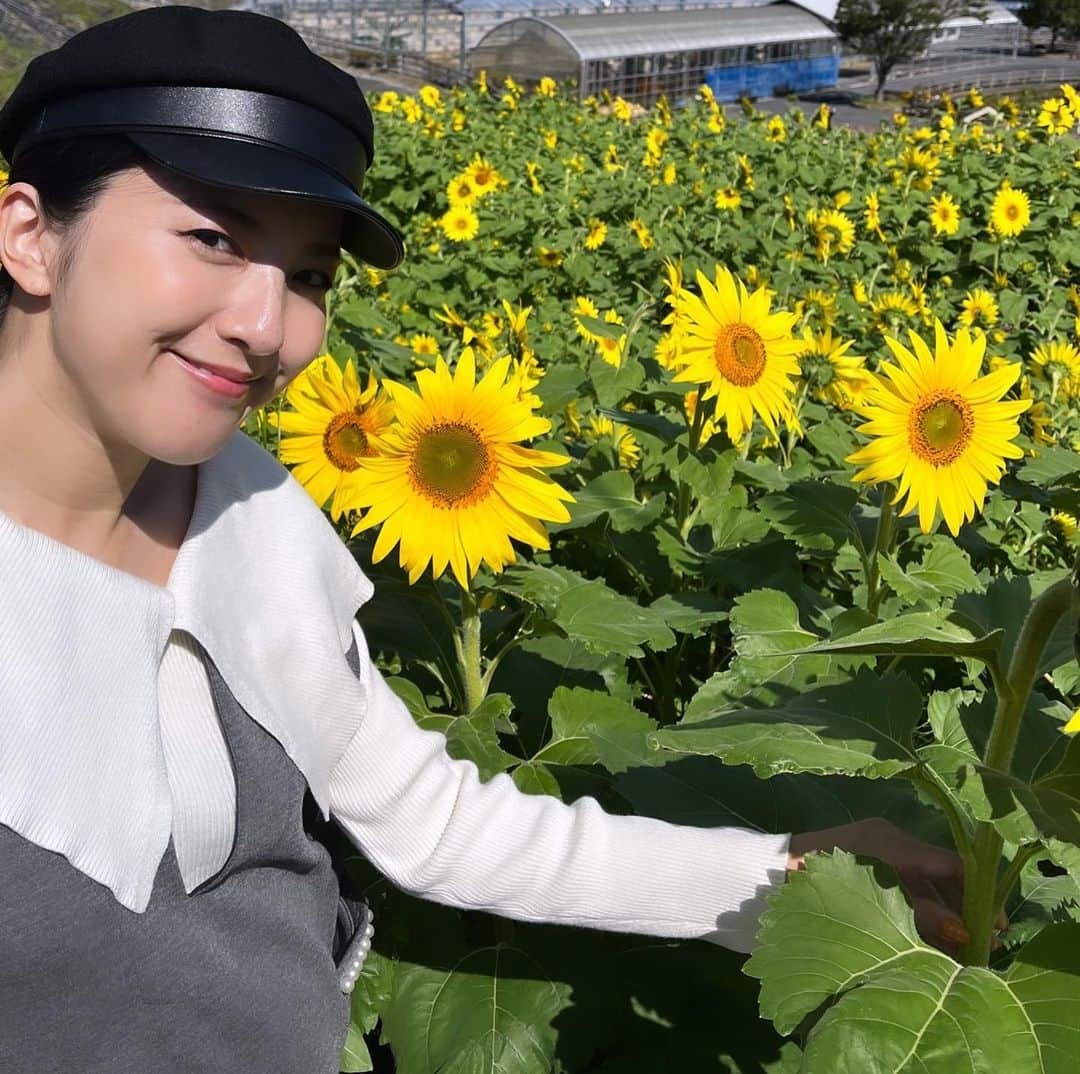 浜口順子さんのインスタグラム写真 - (浜口順子Instagram)「秋の思い出。 #志摩市観光農園　へお出かけ。 コスモスと、ひまわりと、 まだ緑のコキアちゃんが たくさんいました。 夏と秋のコラボ。 めっちゃ綺麗でした〜  #三重 #三重県 #みえ #mie #志摩市 #三重のええとこ見てほしい #はまじゅん三重移住生活」12月3日 23時33分 - hamaguchijunko