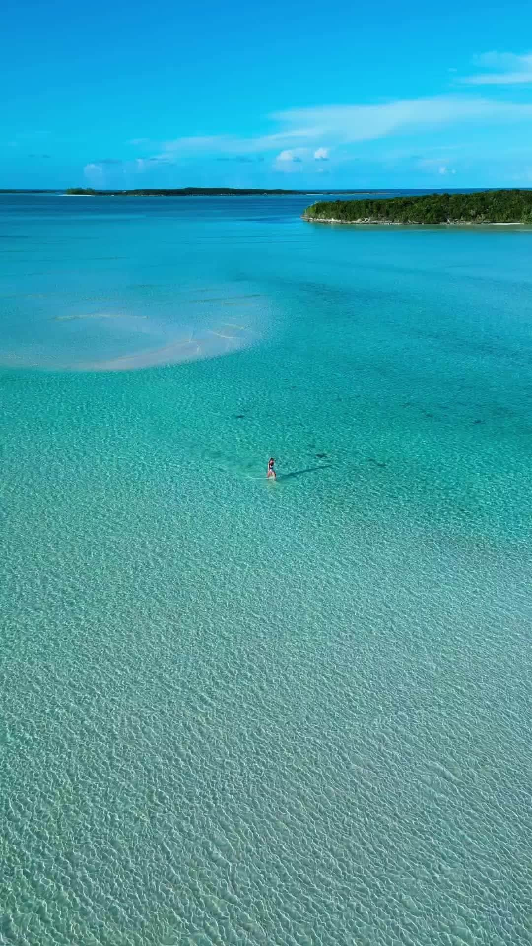 Coronaのインスタグラム：「Dreaming of baby blues... ⁣ ⁣ #ThisIsLiving ⁣ ⁣ 📷: @merry_amber⁣ ⁣ #Bahamas」