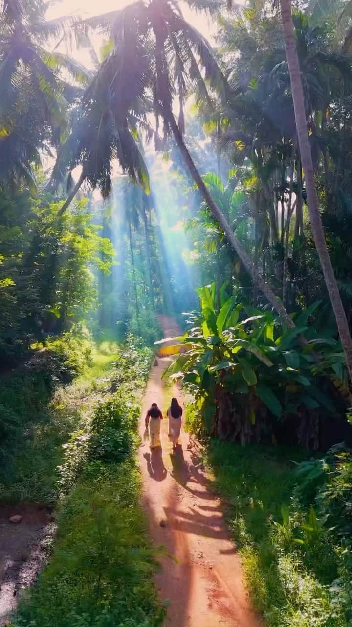 BEAUTIFUL DESTINATIONSのインスタグラム：「@ashikaseem captures the tranquility of the morning light piercing through the lush canopy in Kerela, India during monsoon season. 🇮🇳✨ Kerala is famous for its network of canals known as backwaters, alongside its magnificent spice plantations, making it a serenely beautiful and unique destination to explore. 🛶   Have you ever visited India during the rainy season? ⛈️   📽 @ashikaseem 📍 Kerela, India 🎶 tonyannnn - waltz in g minor x tony ann ✨💫」