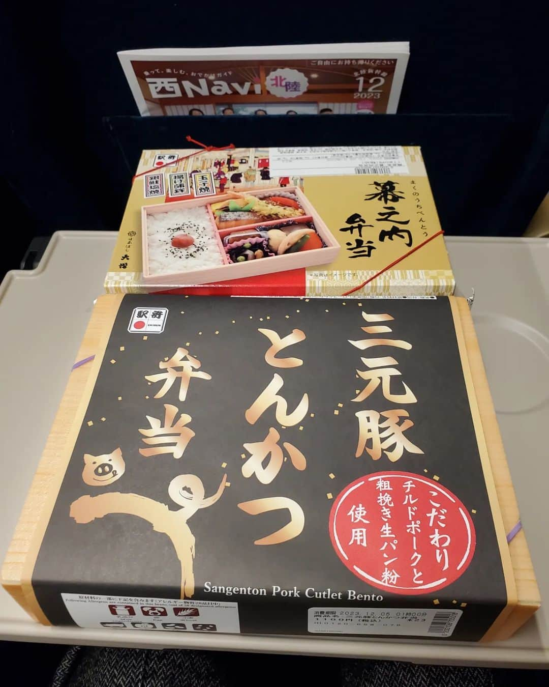 照英さんのインスタグラム写真 - (照英Instagram)「駅弁食べながら、石川県金沢に行ってみよう❕  #駅弁 #金沢市 #石川県 #北陸新幹線 #北陸グルメ #北陸」12月4日 6時36分 - shoei040404