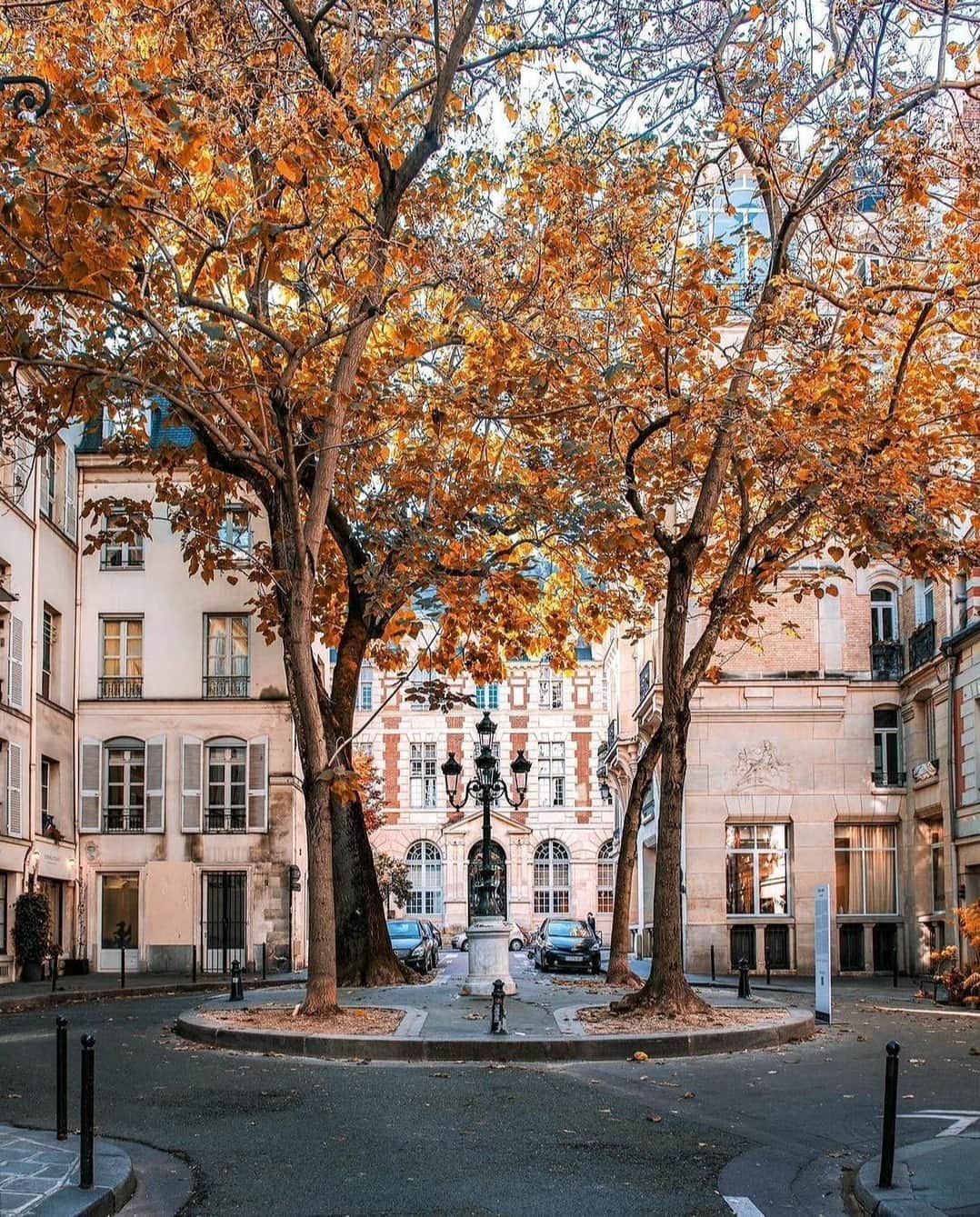 My Little Parisのインスタグラム：「Les racines carrées de la place de Furstenberg.  🇬🇧: All roads lead to la place de Furstenberg.  (📸: @julianontheroute )」