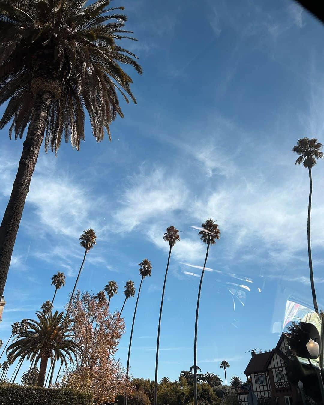 スージー・ロウさんのインスタグラム写真 - (スージー・ロウInstagram)「A sharp day.  So much direct light.  So many manicured lawns and linear lined palms.  The most perfect of high funnel necks.  Satire or homage?  You decide …  @balenciaga #BalenciagaFall24」12月4日 2時17分 - susiebubble