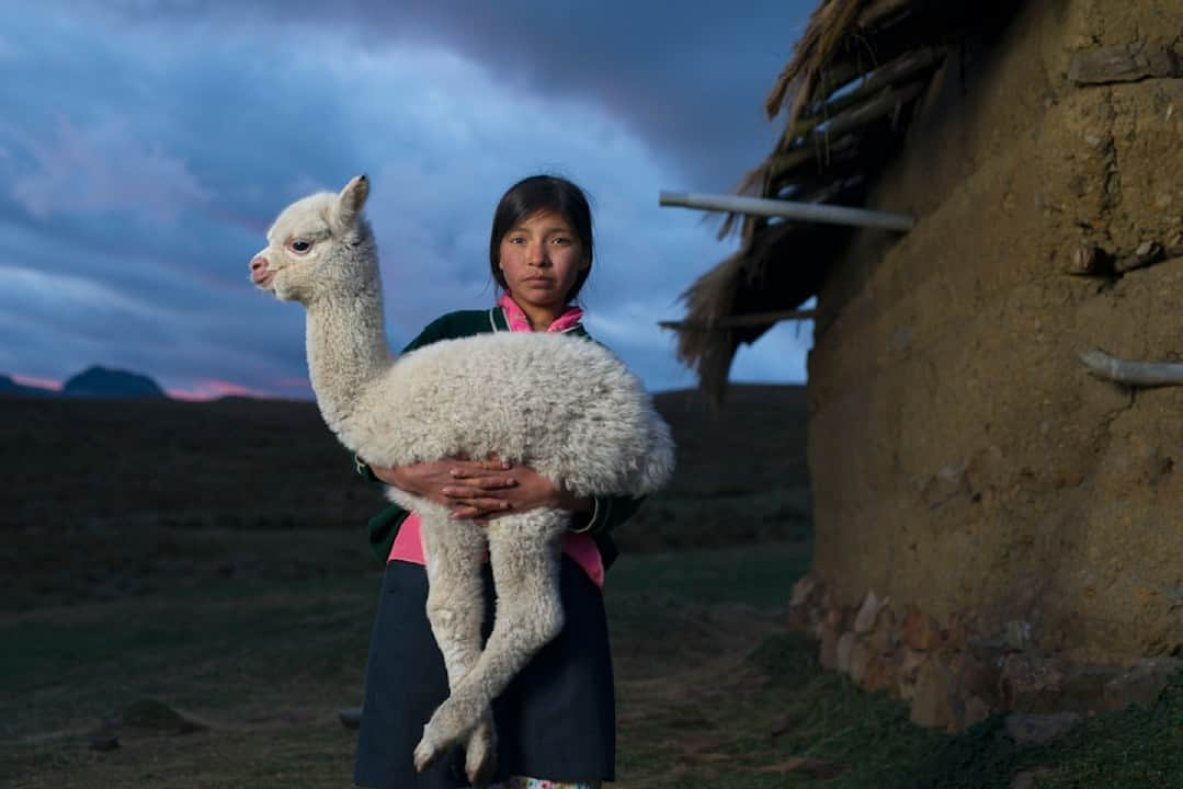 Robert Clarkのインスタグラム：「“Danila and baby Lama” Danila, 14, the daughter of a rancher holds one of the baby #Alpaca's that she and her brother are in charge of. The home that they living is made of adobe and sits in the #Cuchurro Valley below Huaylillas in the #Peruvian foothills to the #Andes at nearly 2300 meters above sea level, (7545 ft). #inca #Quechua   #suitechildsacrafice #robertclarkphotography #instaart #fineart」