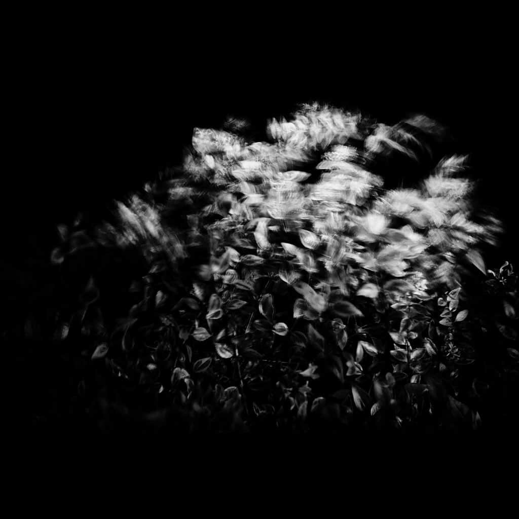 Tatsuo Suzukiさんのインスタグラム写真 - (Tatsuo SuzukiInstagram)「Fragments of Daily Life」12月4日 4時29分 - tatsuo_suzuki_001