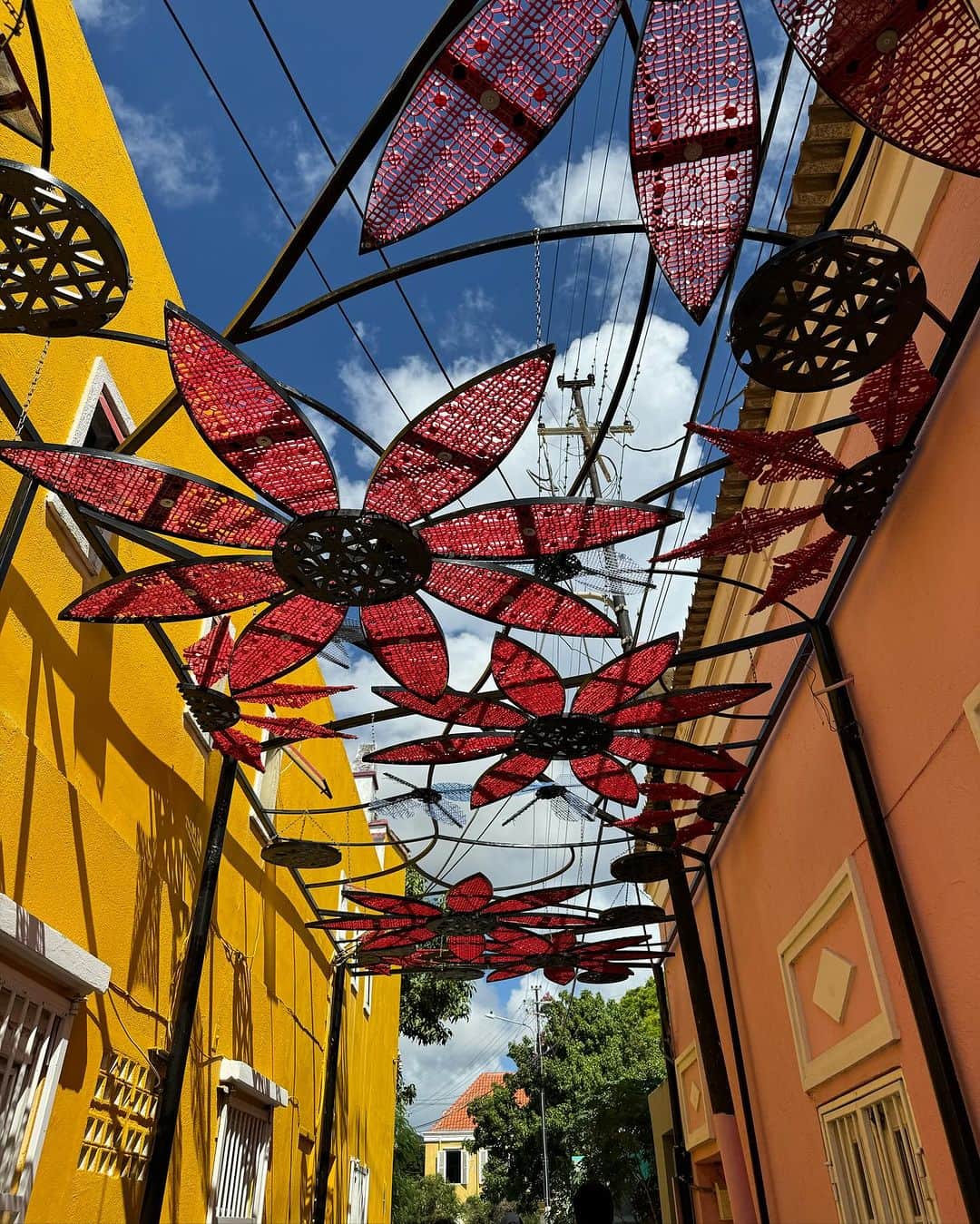 ガラ・ゴンザレスさんのインスタグラム写真 - (ガラ・ゴンザレスInstagram)「Woke up in the Caribbean for a one of a kind trip. First time exploring #curaçao street art and it’s magical wonders. Follow the adventures live on my stories.」12月4日 4時32分 - galagonzalez