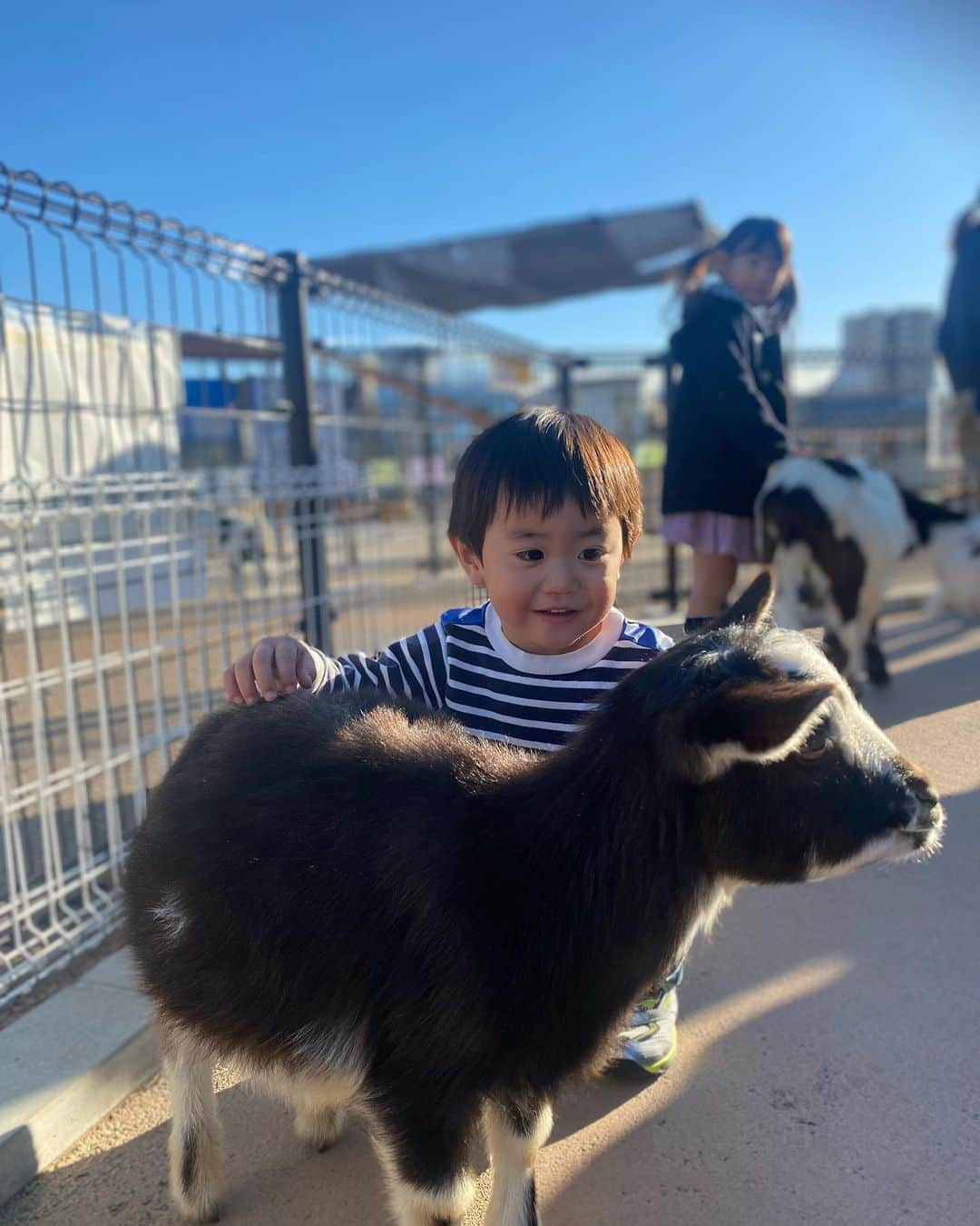 豊崎由里絵さんのインスタグラム写真 - (豊崎由里絵Instagram)「. 初めてのあらかわ遊園！❤️ 次男が靴を履きたがらないので ベビーカーに座らせて 靴はベビーカーの下に積んだんだけど 気がついたら片方無くなっていました😱  これから遊ぶのに裸足😱？と思ったけども 王子駅の靴屋さんシューマックスで 1900円の靴をゲットし ご機嫌で遊園地へ🤣❤️  世の中に落ちている片方の靴は 我が家みたいな人が落としてるんだなあ…  あらかわ遊園はめちゃくちゃ混んでいましたが 幼児にちょうど良い乗り物ばかりで 大変楽しめました！❤️ 路面電車の都電荒川線に乗っていくところから もうすでに子どもたちワクワク🍒」12月18日 23時21分 - yurietoyosaki