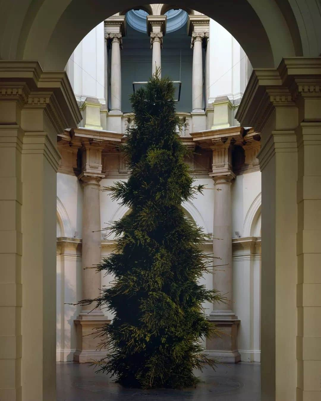 テート・ギャラリーさんのインスタグラム写真 - (テート・ギャラリーInstagram)「🎄 A throwback to a few of our Tate Britain Christmas Trees over the years. Which one would you pick?  🌟 Shirazeh Houshiary, 1993/2016 🎄 Julian Opie, 1996 🗑️ Michael Landy, 1997 📜 Mark Wallinger, 2003 📜 Sarah Lucas, 2006 💡 Catherine Yass, 2000 🍌 Cathy De Monchaux, 1994 🗄️ Richard Wilson, 1998 🌲 Boyd Webb, 1991」12月18日 23時36分 - tate