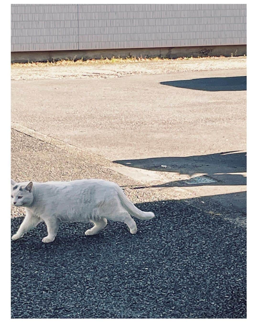 山口まゆのインスタグラム