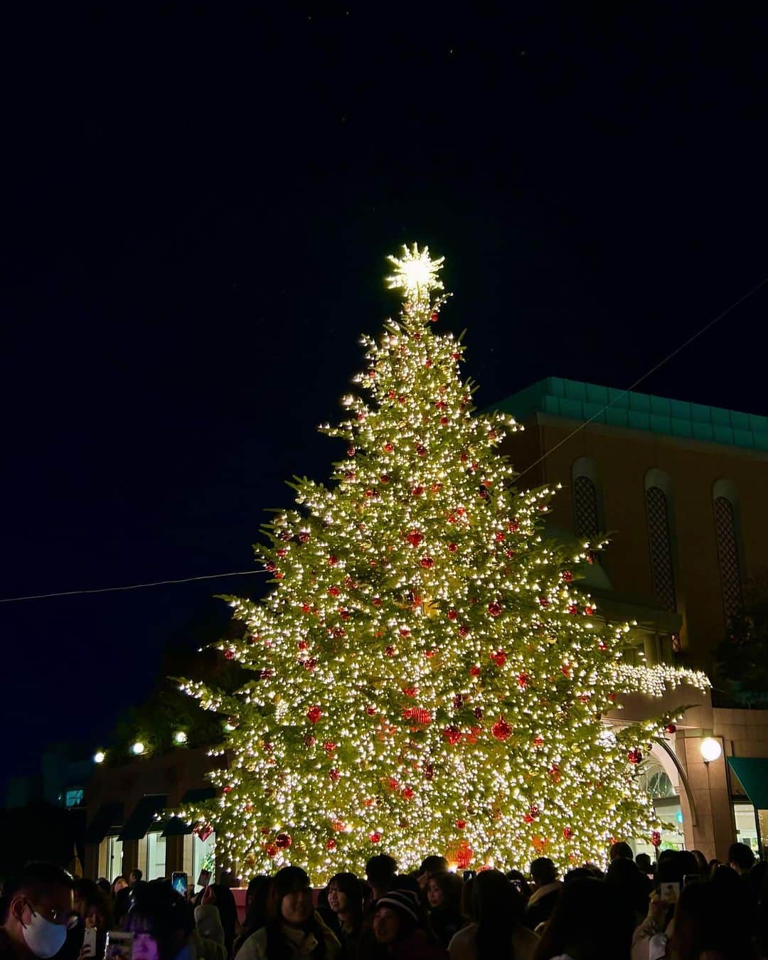 MANAのインスタグラム：「🎄🎅🏻」