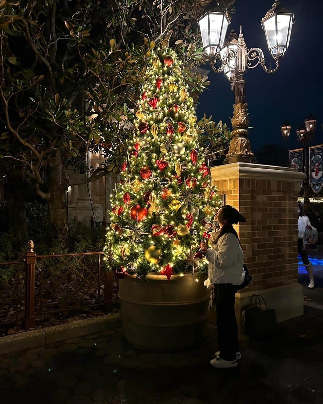 伊藤美紀さんのインスタグラム写真 - (伊藤美紀Instagram)「🌎Tokyo Disney Sea🐭‎🤍  にっしーと念願の夢の国🪸🫧 ビリーヴ！〜シー・オブ・ドリームス〜のショーは感動すぎて何回でも見に行けちゃう🥺 幸せ空間でした🧚  #クリスマスディズニー #ディズニーシー #ビリーヴシーオブドリームス #時差投稿 #🐭❤️🖤 #久しぶりの #凸凹コンビ  #みきにし」12月18日 21時04分 - miiiiiki.ito6