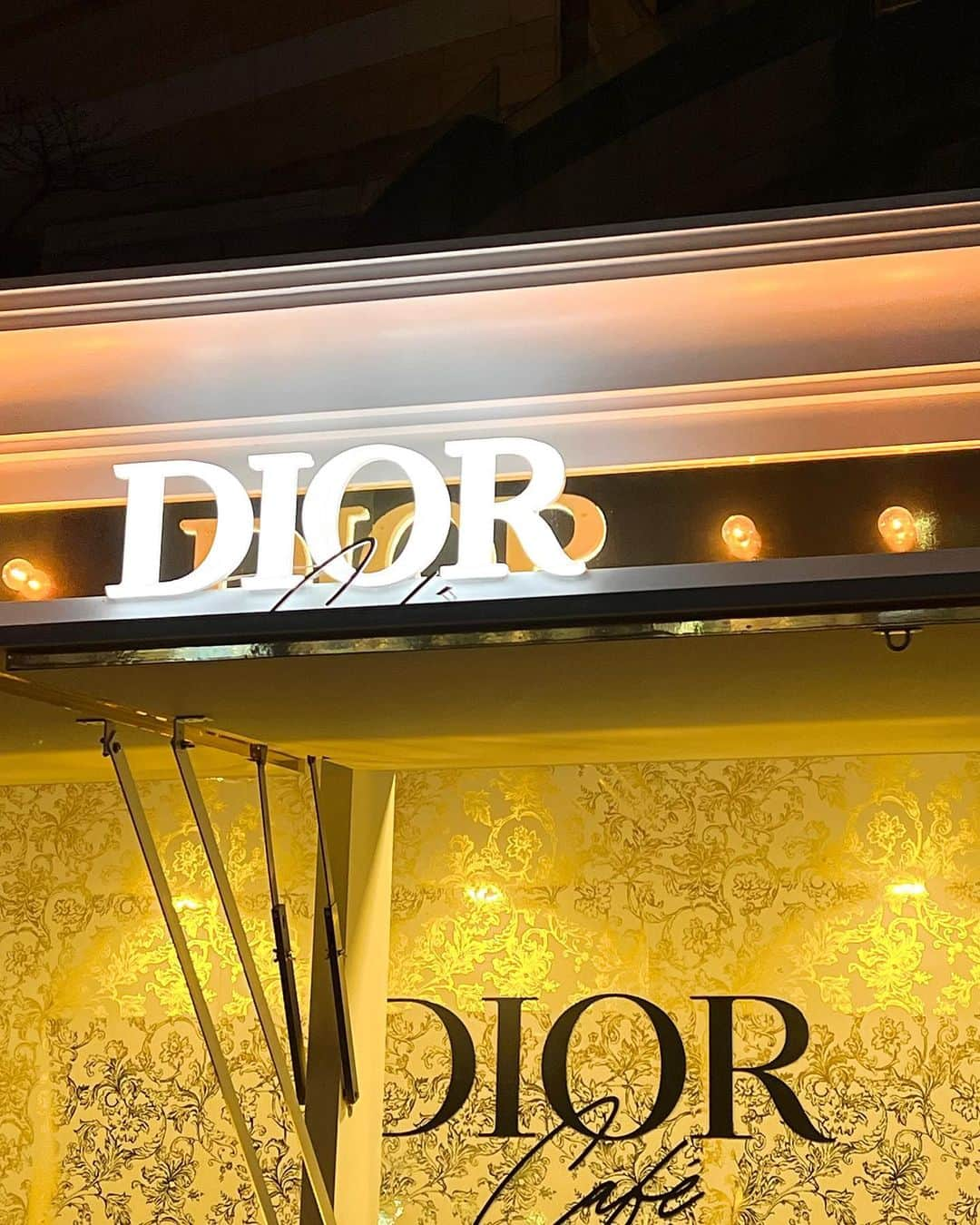 MAKIさんのインスタグラム写真 - (MAKIInstagram)「🪅DIOR GARDEN OF DREAMS🪅  @dior   #DiorCruise #ディオールガーデンオブドリームズ  #supportedbydior」12月18日 21時31分 - maki_rhap