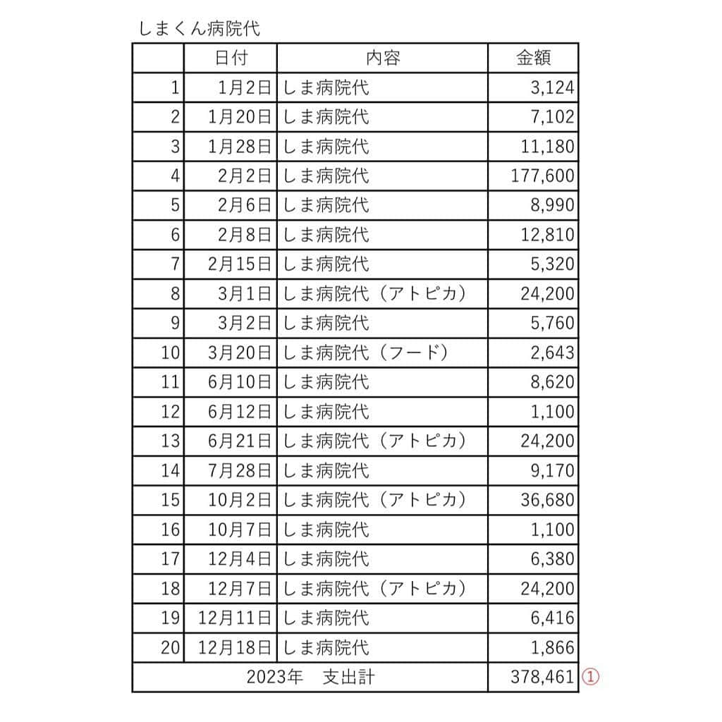 こむぎさんのインスタグラム写真 - (こむぎInstagram)「* 猫エイズしまくん＆猫白血病ポンちゃんの2023年の収支報告です🙇🏻①  まだ今年も残りわずかにありますが、一旦ここで今年のまとめをご報告させていただきます🙇🏻  しまくん、ポンちゃんは岐阜多頭飼育崩壊現場からレスキューとは別の場所から個別に保護した子たちなので、多頭崩壊の収支とは別になっています。 (今年の初めに子猫も保護して譲渡しておりますが、その子達の医療費などは大きくはなく収支もマイナスでしたので掲載を割愛させていただいております…🙇🏻) 全部掲載するとかなり時間がかかってしまうため、少額の消耗品購入など細かな部分は載せていなかったり、報告の体裁などが整っていなかったりなどありますがご了承くださいませ🙇🏻🙇🏻  2023年しまくん総医療費378,461円…① 2月に抜歯手術を行なったのと、アレルギーによる好酸球性肉芽腫を抑えるための免疫抑制剤(アトピカ)を服用しているため医療費が高額となっています。 また秋ごろから鼻に傷や瘡蓋が出来るようになり、現在も通院中です。(次の投稿「報告②」に写真を載せます) 領収書の赤字はその時の先生とのやりとりだったり症状の覚え書きメモなので字が汚くてすみません😂  2023年ポンちゃん総医療費33,680円…② 時々くしゃみが出て投薬することもありますが、概ね体調は良好です。  2023年しまくんフード代など52,095円…③ アトピカなしでも体調が落ち着けるよう、よりしまくんに合ったフードを探してちょこちょこと購入しています。カード明細など添付していませんがご希望があればお見せできます。 アトピカを一度病院ではなく通販で購入しましたが、肉芽腫が増えてしまい病院のアトピカと同じ効果が得られなかったことから、病院で受け取る形に戻りました。  2023年ポンちゃんサプリ代など84,449円…④ ポンちゃんは猫白血病のため出来るだけ免疫力アップできるようサプリ類をずっと飲ませています。アニミューンは糖鎖が細胞の栄養となり、細胞が活性化されることで抗腫瘍効果、抗炎症効果、免疫調整機能に効果があると言われている新しいサプリで定期購入しています。また、預かりさんに1人で病院に連れて行って貰った際のタクシー代、ポンちゃんに快適に過ごしてもらうために外出先からエアコン調整してもらうためのものだったり、窓の外が見られるようキャットタワーを購入させていただきました🙇🏻ホットカーペットはAmazonで安くなっていたペット用です。 こちらもカード明細など添付しておりませんがご希望があればお見せできます🙏🏻  支出合計(①+②+③+④)が 548,685円になります。  続きます🙇🏻」12月18日 22時41分 - tomochunba
