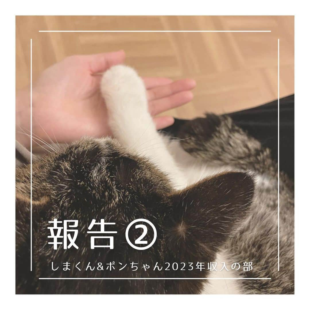 こむぎさんのインスタグラム写真 - (こむぎInstagram)「* 猫エイズしまくん＆猫白血病ポンちゃんの2023年の収支報告です🙇🏻② (この投稿の7枚目の写真にしまくんのお鼻の様子を載せています🙇🏻傷口など苦手な方はご注意ください🙏🏻)  2023年に頂戴したご寄付やウェブショップの売上など 収入合計が393,011円…⑤  収入合計393,011円 支出合計548,685円 収入-支出はマイナス155,674円となりました。 (10月開催のひみつのねこ展は別で計算をして多頭崩壊とどうぶつ基金へ寄付をしています。詳細は11/18投稿済)  個別に保護している猫たちについては、普段お金のご寄付を募ることはしていないのですが、今年はしまくんの抜歯手術があり(残痕している歯の根っこを取る大掛かりな手術でした)、その手術費用について今年の2月にご寄付を募らせていただいたのと、ありがたいことに知り合いの作家さんやインスタを見て個人的にご連絡くださった方などからのご寄付も多くありましたので、2023年の収支のまとめ報告をさせていただきました。 2月の手術の時の詳細は2/6にインスタに投稿させていただいております🙇🏻  保護活動はボランティアとしてやっているので費用が黒字になることは毎年ないのですが、今年はそれでもなんとか皆様のご協力の元、支出をマイナス15万円程度に抑えられました😭  直接のご寄付以外にも、フードなど支援物資をご協力くださった方、こむぎねこウェブショップで商品をお求めくださった方、ねこ休み展でザビエル首輪をお求めくださった方(まいさんいつも置かせてもらって本当にありがとう😭)、インスタのライブ配信でバッヂをお送りくださった方、たくさんのご協力本当に感謝致します。  保護活動にかかる費用としましては、細かなところをあげるとガソリン代や高速代、光熱費、あとザビエル首輪を作るための材料費や工賃などありますが、載せるとキリがないので支出として載せているのはカード明細などで金額がハッキリとわかる範囲にしております🙇🏻🙇🏻  しまくんのお鼻に関しては、11月頃から段々と赤い傷が広がり始めました。 昨年も似た感じの物が出来た時にステロイドを塗って治ったので、今年も同じように対応していたのですが、私がカラーをつけるタイミングが遅くて段々と大きくなってしまい😭 病院でも扁平上皮癌かもと最初は先生からもお話しがありましたが、今日診ていただいた感じでは天疱瘡の可能性が高いとのことだったので、引き続きステロイド(飲み薬)を続けて様子を見ることなりました。  扁平上皮癌にしても天疱瘡にしても確定診断をするには軽い鎮静をかけてお鼻の細胞を取って生検をする感じになるので、どうしても鎮静をかけることに抵抗があるのと(しまくん手術の時は本当に危なかったので…)、お鼻の傷が大きくなってしまうのが心配だったので、まずは簡易検査(細胞診)からしましたがそちらでは炎症反応しかでなくて…。 生検をするタイミングを見計らっていた中、癌ではなくて天疱瘡の可能性が高いと仰っていただき、だいぶホッとしました😭 青井さんからも別の先生にもしまくんのお鼻の写真を見ていただき同じ意見だったそうでより安心しました！😭 天疱瘡は直接命に関わる病気ではないけれど、人間でも治療しないと死に至る慢性疾患と言われていて、しまくんも治るまでにはもう少し時間がかかりそうなのと、再発をしやすいそうなので、日頃から気をつけて見ていることと、カラーを早めにつけること、部屋の湿度管理も今後もずっと必要になりそうです。 今はSwitch Botの加湿器でお部屋の湿度管理もしています。 最近は好酸球性肉芽腫のシコリもほとんどなくなっていたので、それで余計に癌なのかもと心配になりましたが、シコリが出来るのと天疱瘡が出来るのとはまた別物なんだなぁと、免疫の病気でも色々違うのだなと勉強になりました🥲  長くなりましたが、しまくんのストーリーズを見てご心配くださった皆様本当にありがとうございます🙇🏻 しまくんもポンちゃんも保護時に比べたら今はだいぶ体調は落ち着いていますので、里親さんも引き続き募集中です🙏🏻✨ 頑張っている子達こそ、幸せ掴んでほしいなと思っています☺️ 病気があっても、何か抱えていても、「うちにおいで」と言ってくださる素敵なご家族との出会いがありますように…🙏🏻🙏🏻  2024年も引き続きどうぞ宜しくお願いいたします🙇🏻🙇🏻」12月18日 23時00分 - tomochunba