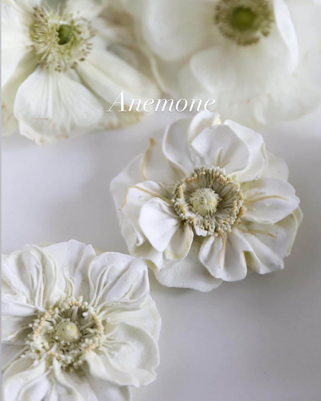 청담 수케이크 (atelier soo)のインスタグラム：「White Anemone 💍」
