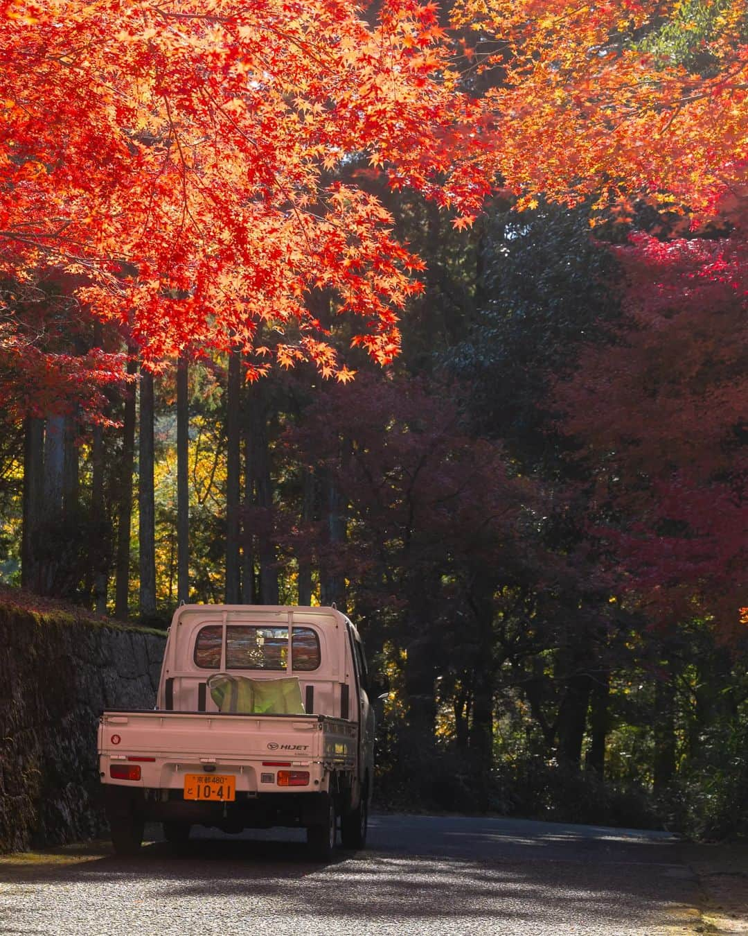 Joshさんのインスタグラム写真 - (JoshInstagram)「// trials. a quiet walk through a Kyoto neighborhood on the eastside of the city led me to one of the many beautiful temples this city has. I had not originally planned to go here at all, but I got off at the wrong station... So, we call it a happy accident! Autumn is such a beautiful time, and I'm happy to have made memories on this trip. . Look forward to some bi-yearly YouTube videos coming soon! Haha . . . #曼殊院 #japan #japaneseculture #visitjapan #visitjapanjp #visitjapanau #explorejapan #japantravel #tokyoweekender #matcha_jp #japanawaits #japan_vacations #discoverjapan #discovertokyo #japanlandscape #japanlife #紅葉スポット #紅葉狩り」12月4日 14時56分 - joshtaylorjp