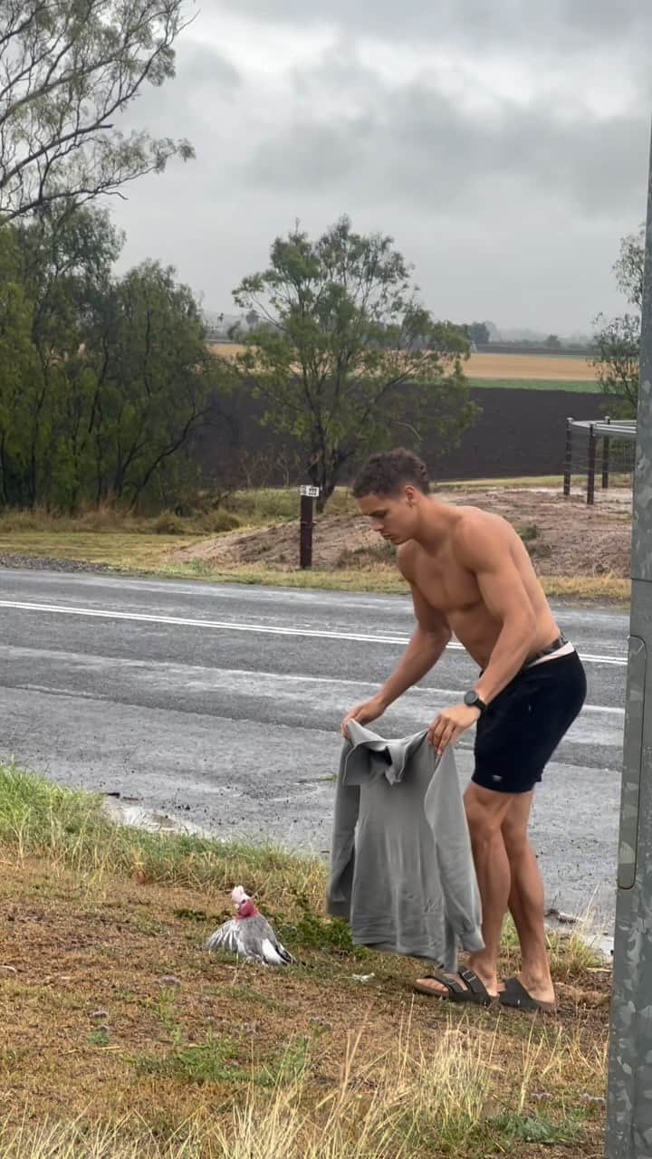 デイヴィッド・ニカのインスタグラム：「Found this little critter left for dead a few weeks ago on the roadside. I’ve never had much to do with birds in the past but am starting to understand them a little better and learning that they’re actually really intelligent and loving. He’s been a welcome guest and aside from our obvious differences I really hope he visits us again. 🥲 shout out to @havealarfnz for the sacrificial threads used to harness this poor wee fella.   *I should probably disclose that I don’t pretend to be an animal expert nor do I have the expertise to treat injured animals. I’m just happy to see this guy alive flapping still.」