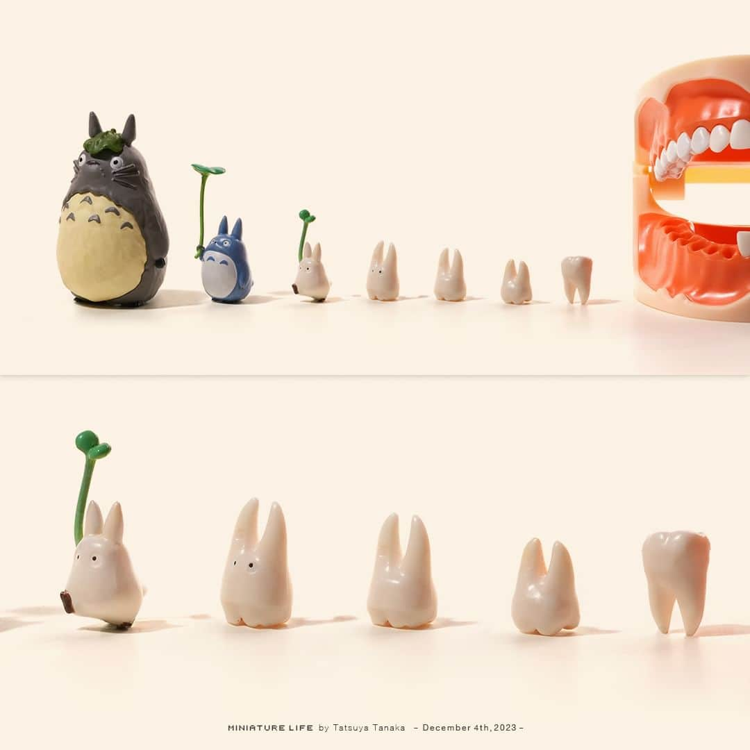 田中達也のインスタグラム：「“Growth of The Totoro” ⠀ ⠀ おくばのトトロ ⠀ ⠀ ─────────────────── 《EXHIBITION info》 ⠀ 【small MUJI展 日用品のたのしみ方 in 大阪】 small MUJI -Enjoying Everyday Item- in Osaka until : Jan. 7, 2024 ⠀ 【ミニチュアライフ 神戸エアポート】 MINIATURE LIFE × KOBE AIRPORT」