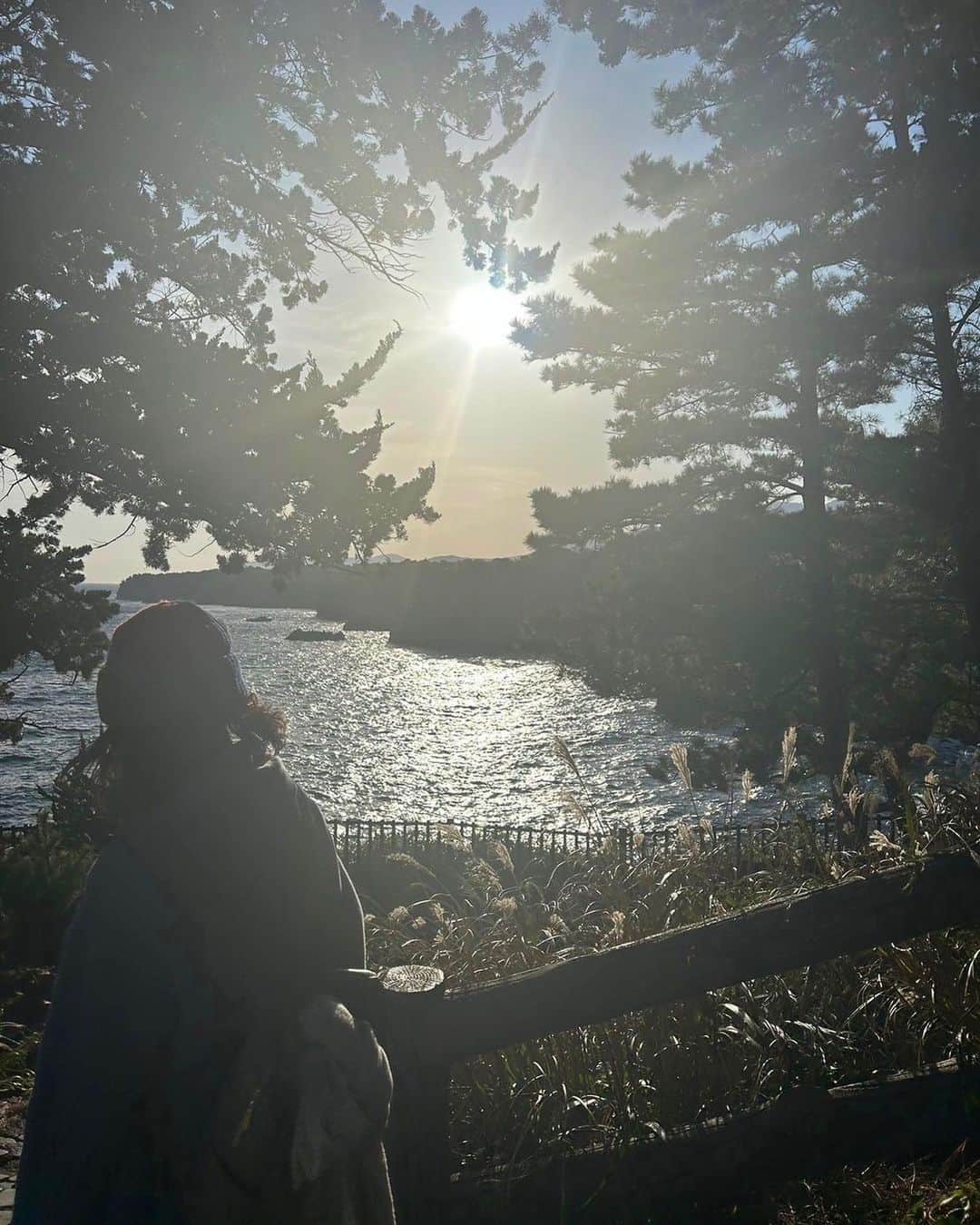 さんのインスタグラム写真 - (Instagram)「城ヶ崎海岸とすすき。  #伊東市 #伊東の暮らし #伊東のいいとこ #わたしといとうと #伊豆 #海 #海のある暮らし #城ヶ崎海岸 #伊豆大島  #ito #izu #japanview #sea #sealife #jyogasakicoast #izuoshima」12月4日 8時21分 - fujimoriai