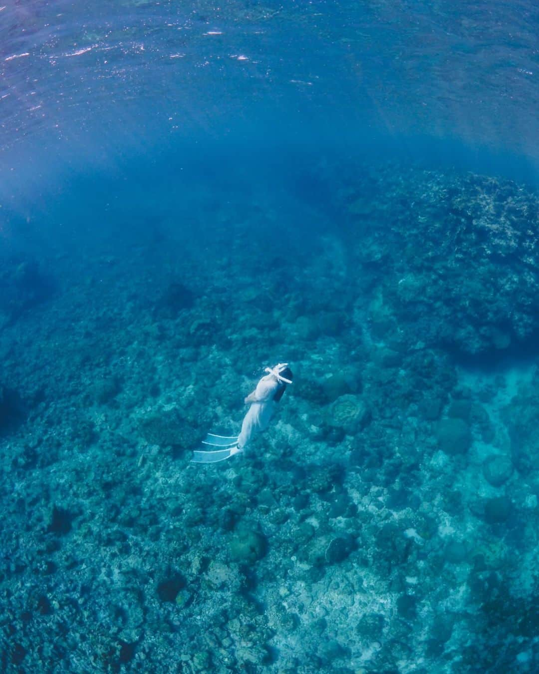 Hikaru Nakamuraさんのインスタグラム写真 - (Hikaru NakamuraInstagram)「5月から11月まで毎週のように 「海行こ！🌊」と誘う僕に、 日焼けやスッピン、髪の痛みなんかを気にせず冒険に出掛けてくれる。  イルカ🐬やサメ🦈に時々遭遇しても それも楽しんでくれる🦭  そんな女の子中々おらんかった☺️笑  #ウェディングフォト#前撮り#宮古島#珊瑚#シュノーケル#スキンダイビング#海 #weedingphotography #weddingphoto」12月4日 9時00分 - hikarunosuke