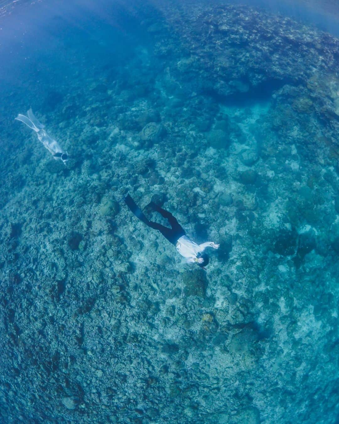 Hikaru Nakamuraさんのインスタグラム写真 - (Hikaru NakamuraInstagram)「5月から11月まで毎週のように 「海行こ！🌊」と誘う僕に、 日焼けやスッピン、髪の痛みなんかを気にせず冒険に出掛けてくれる。  イルカ🐬やサメ🦈に時々遭遇しても それも楽しんでくれる🦭  そんな女の子中々おらんかった☺️笑  #ウェディングフォト#前撮り#宮古島#珊瑚#シュノーケル#スキンダイビング#海 #weedingphotography #weddingphoto」12月4日 9時00分 - hikarunosuke