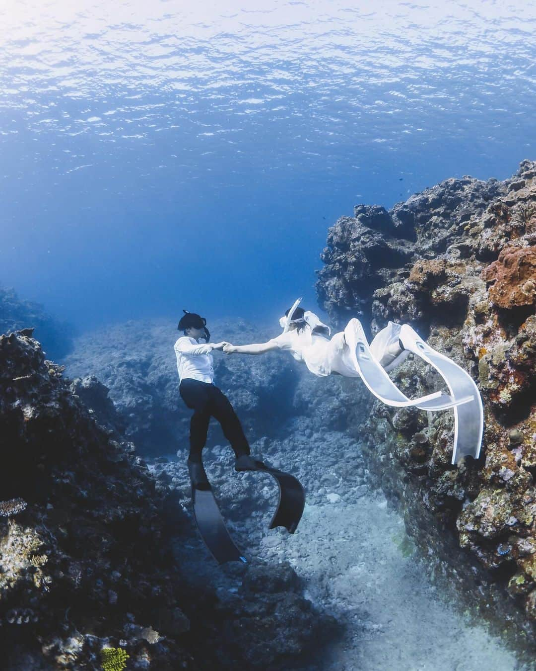 Hikaru Nakamuraのインスタグラム：「5月から11月まで毎週のように 「海行こ！🌊」と誘う僕に、 日焼けやスッピン、髪の痛みなんかを気にせず冒険に出掛けてくれる。  イルカ🐬やサメ🦈に時々遭遇しても それも楽しんでくれる🦭  そんな女の子中々おらんかった☺️笑  #ウェディングフォト#前撮り#宮古島#珊瑚#シュノーケル#スキンダイビング#海 #weedingphotography #weddingphoto」