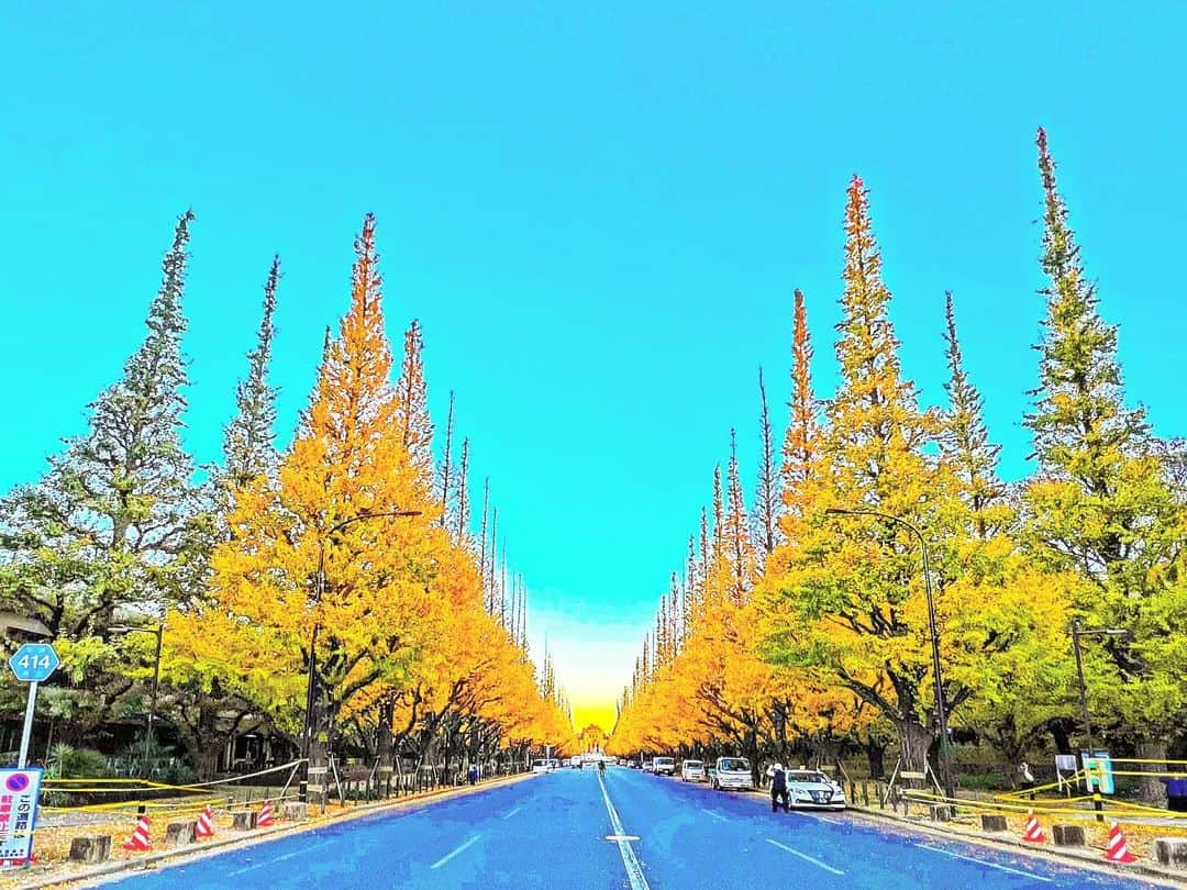 YOKANのインスタグラム：「《OhaYOKAN》  今朝の 原宿表参道は快晴なり…☀️  風は冷たいですが さわやかな冬晴れの朝🌅  朝ラン＆ウォークは快調でした…🏃‍♀️👟  さて  今週の YOKANは  ・アレンジ＆デモ制作 ・ブラスアレンジ＆譜面作成 ・レコーディング ・ライブ用リハーサル ・ラジオ番組の収録、編集＆完パケ ・遅れている事務作業 ・ゴミ拾いのボランティア ・断捨離＆大掃除レンジャー ・久しぶりに外食＆飲みしたい  楽しみながらがんばりまーす…🙋‍♀️  みなさま  笑顔でステキな1週間を…💓  ※今朝の  《YOKAN散歩》  街角アート写真は  紅葉＆黄葉便り…🍁  『神宮外苑：いちょう並木』  実は 10日ほど前に来た時は  まだ 緑色の葉っぱが多く 黄葉が進んでなかったので  そろそろ かと思い来てみたら  結構 葉が落ちていました⁉️  でも  まだまだ見ごろな  とっても 素敵な黄葉です✨  #harajuku #omotesando #tokyo #原宿 #表参道 #morning #朝 #running #ジョギング #朝ラン #walking #ウォーキング #朝活 #OhaYOKAN #YOKAN散歩 #YOKAN #streetart #街角アート #神宮外苑いちょう並木 #インスタ映え #instagram #笑顔でステキな1日を💓 #tokyocameraclub」