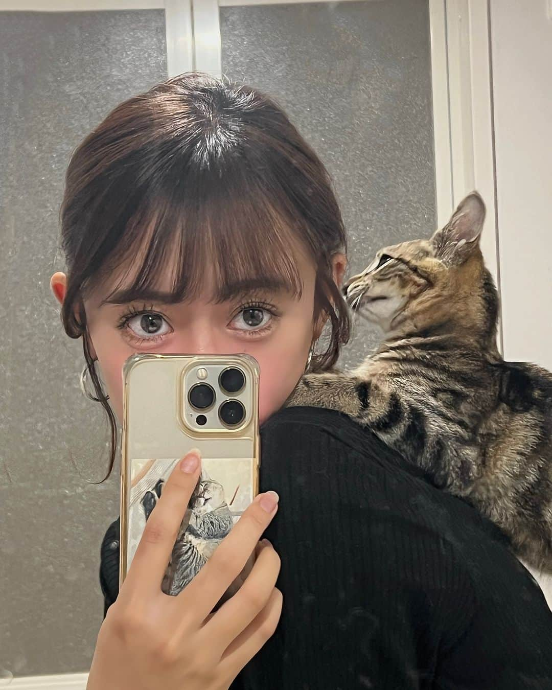 照井和希のインスタグラム：「Cattastic ^.ˬ.^ 🖤  ピカチュウ猫がたくさんいる。  みんな里親募集中だよー！  @kazuki_animal_rescue   𓐄 𓐄 𓐄 𓐄 𓐄 𓐄 𓐄 𓐄 𓐄 𓐄 𓐄 𓐄 𓐄 𓐄 𓐄 𓐄 𓐄 𓐄 𓐄 𓐄 𓐄 𓐄 𓐄  #ねこ #ねこすたぐらむ #ねこのいる生活 #保護猫」