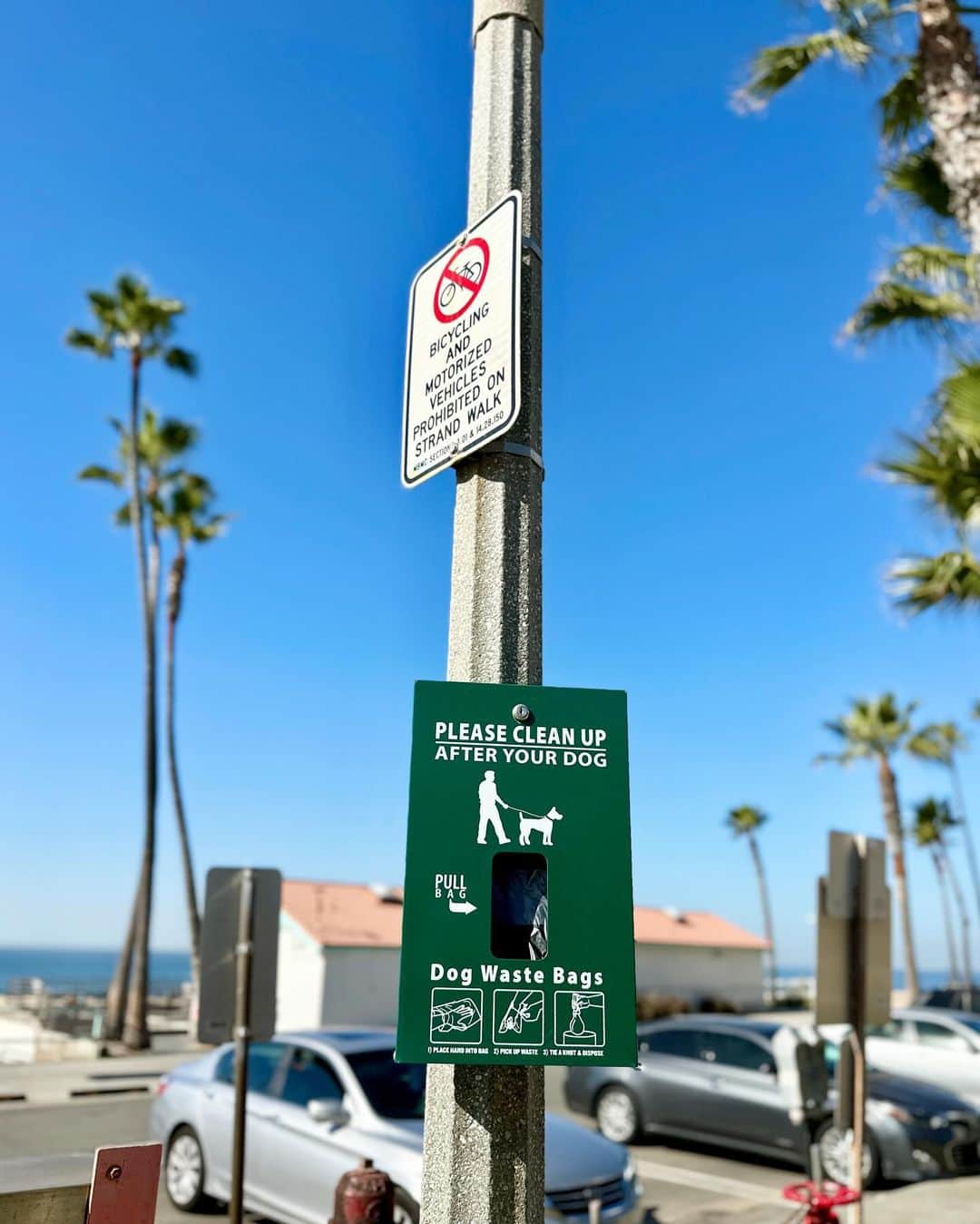 月本えりさんのインスタグラム写真 - (月本えりInstagram)「LA Dump2🌴🌴  @saltandstraw 滞在中、時間できるたびに行く🪻🍯 犬に優しい🐶アジア人の女性ひとり旅に厳しいw  #losangeles #manhattanbeach #beach  #saltandstraw #icecream #besticecream  #fashion」12月4日 10時18分 - eritsukimoto