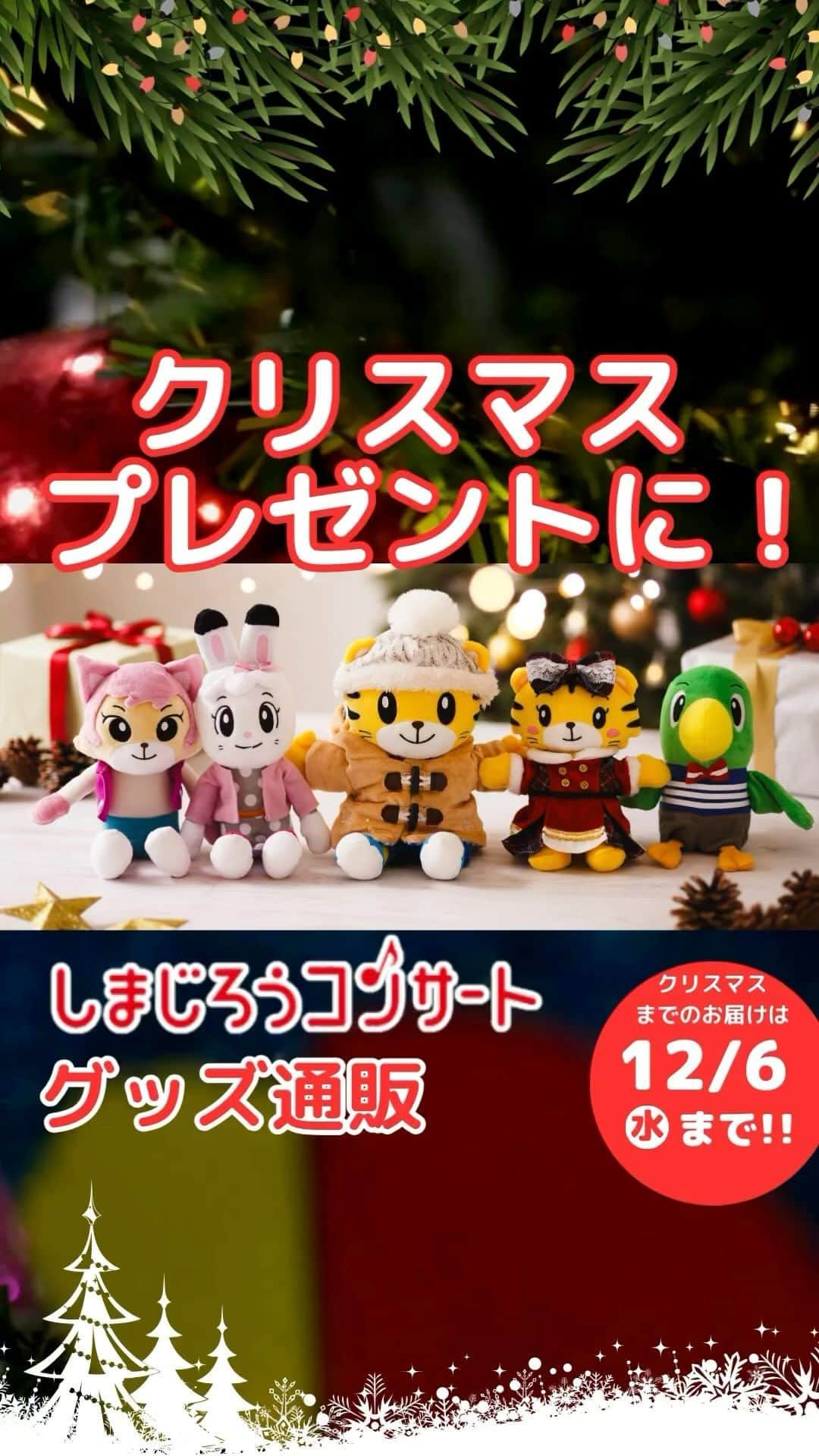 こどもちゃれんじ【公式】のインスタグラム：「【クリスマス🎄に間に合うお届けは12/6(水)のご注文まで✨】  しまじろうコンサートグッズ通販では、クリスマスプレゼントにもぴったりのオリジナルグッズを販売中です❣️ お子さまの大好きなキャラクターグッズを少しだけご紹介しますね🎶  ☑️ハグハグ しまじろう 　✔️約55cmの大きなしまじろうです⭐️ 　✔️しまじろうからのお手紙付き💌  ☑️23年しまじろうクリスマスコンサートDVD 　✔️ただいま公演中のしまじろうコンサートのDVD 　✔️クリスマスソングたっぷりでクリスマス気分を盛り上げます🎄  ほかにも、おでかけポシェットやもこもこバッグなどしまじろうたちのグッズ満載でお待ちしています😍  ーーーーーーーーーーーーーーーーーーーー 　【しまじろうコンサートグッズ通販】 　　　クリスマスまでのお届けは 　　　　　　12/6(水)締切！ ーーーーーーーーーーーーーーーーーーーー  お子さまのクリスマスプレゼントに、是非しまじろうオリジナルグッズをご検討くださいね⭐  ご購入はストーリーまたはハイライト【コンサート】のリンクからどうぞ🎶  #しまじろうコンサート#しまじろう#しまじろうのクリスマスコンサート#こどもちゃれんじ#しまじろうときらきらぼしのクリスマス#クリスマス#クリスマスプレゼント#コンサートグッズ #しまじろうコンサート2023 #みみりん#とりっぴい#にゃっきい#がおがおさん#はなちゃん」