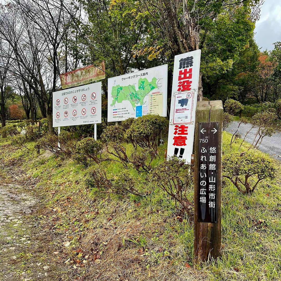 畑亜貴さんのインスタグラム写真 - (畑亜貴Instagram)「10月に行った山形の写真。今はもう雪が降っているようですね⛄️  山形ではラジオ #カンゲンケン 収録しました。  #akhtravelogue」12月4日 11時45分 - akihata.jp