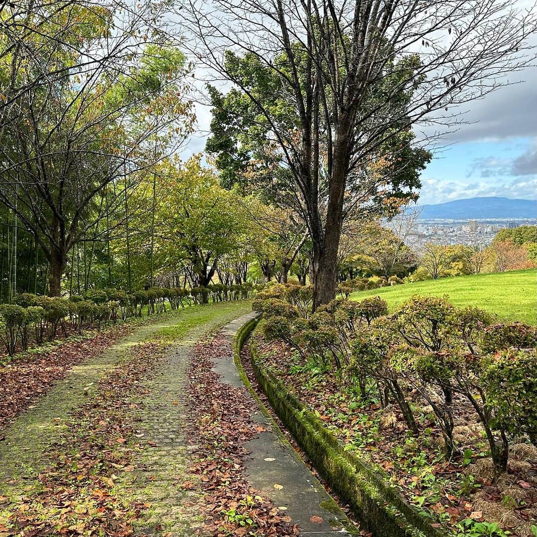 畑亜貴さんのインスタグラム写真 - (畑亜貴Instagram)「10月に行った山形の写真。今はもう雪が降っているようですね⛄️  山形ではラジオ #カンゲンケン 収録しました。  #akhtravelogue」12月4日 11時45分 - akihata.jp