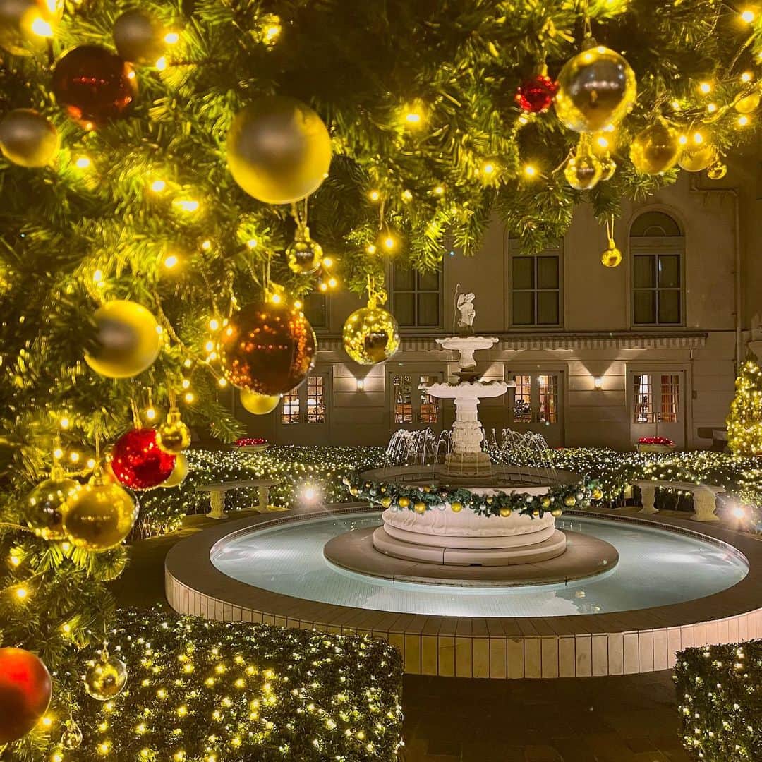 【公式】ホテルニューグランドさんのインスタグラム写真 - (【公式】ホテルニューグランドInstagram)「＊ 「夜にあらわれる光の横浜〈ヨルノヨ〉」 パートナーシップ事業連携イベントとして 「光の庭園」を開催中✨   煌めく光に包まれるロマンティックな空間で、 1年に一度の心躍るクリスマスを ごゆっくりとお楽しみください🎄✨  ＊―＊―＊―＊―＊―＊―＊―＊―＊―＊―＊―＊―＊ 【光の庭園】  場所:本館中庭 期間:2023年12月1日（金）〜25日（月） 点灯時間:日没〜23:30頃   ※ご自由にご覧いただけます。 ※全てのお客様が心温まるクリスマスムードをお楽しみいただけますよう、長時間のご滞在はご遠慮いただき、ご来館いただきましたお客様同士譲り合ってご見学いただけますようお願いいたします。 ※機材を持ち込んだ写真撮影や無断での商用撮影はお控え願います。 ＊―＊―＊―＊―＊―＊―＊―＊―＊―＊―＊―＊―＊    #ホテルニューグランド #横浜 #クラシックホテル #横浜ホテル #クリスマス #クリスマスプレゼント #クリスマス飾り #ホテルクリスマス #光の庭園 #イルミネーション #イルミネーションデート #横浜イルミネーション #横浜デート #クリスマスメニュー #冬 #フォトスポット #ヨルノヨ #中庭 #hotelnewgrand #yokohama #Christmas #holidayseason #cheers #illumination」12月4日 17時00分 - hotelnewgrand