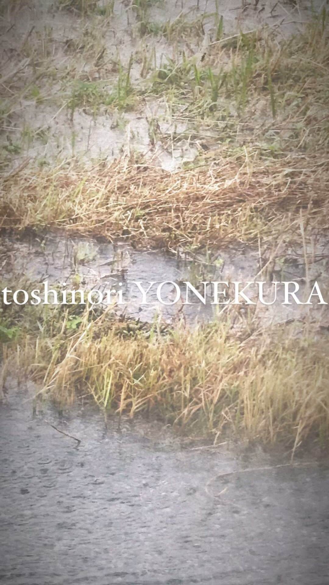 米倉利紀のインスタグラム