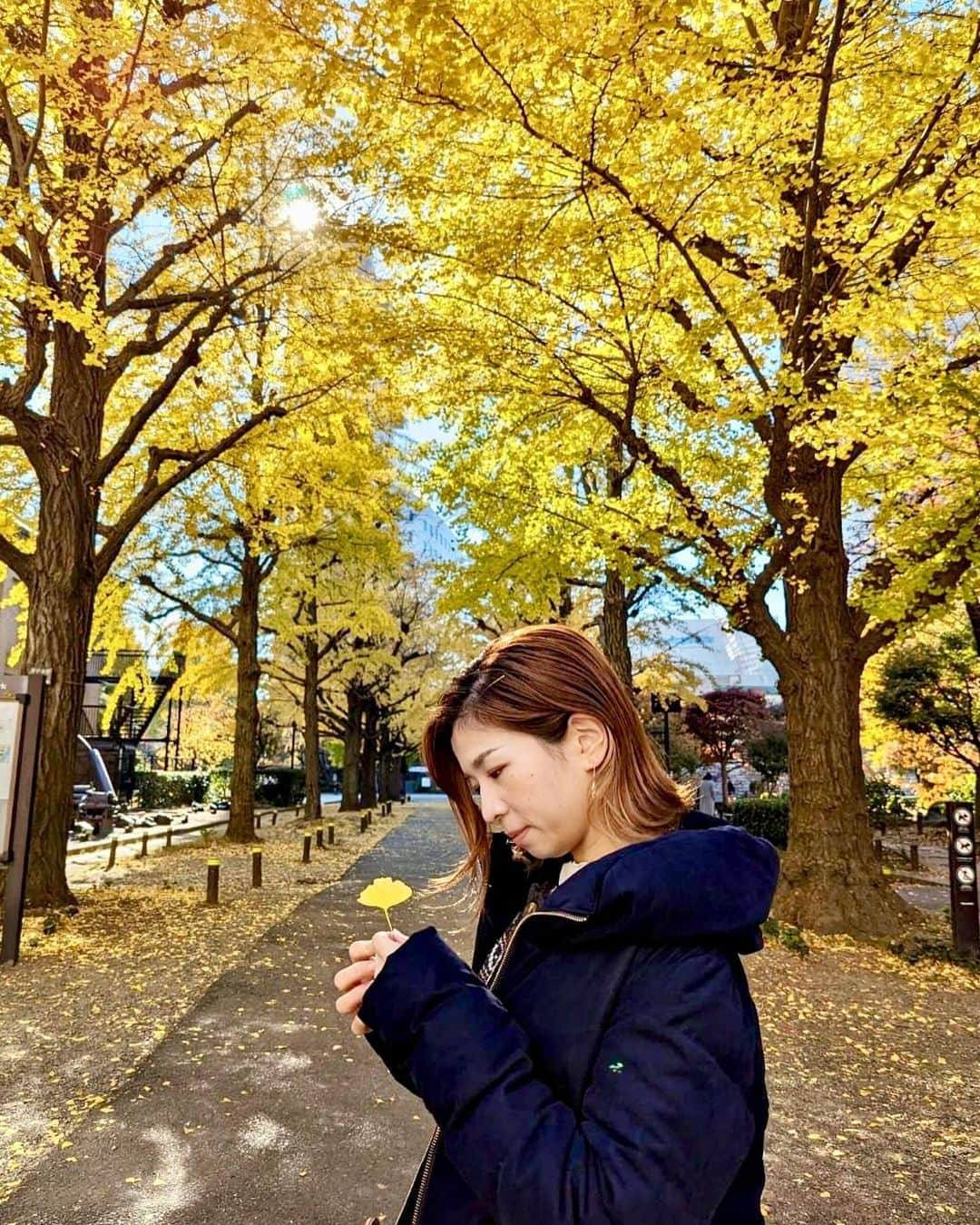 巴山萌菜さんのインスタグラム写真 - (巴山萌菜Instagram)「冬になってきたけど..紅葉が綺麗な所もまだあって、もう少し秋も感じられる場所がありそうですね〜🐿🌰🍁🍂✨️  Q)ねね、もうこたつ出した？   #紅葉 #いちょう並木 #秋の風景  #秋服コーデ」12月5日 18時00分 - mona_tomoyama