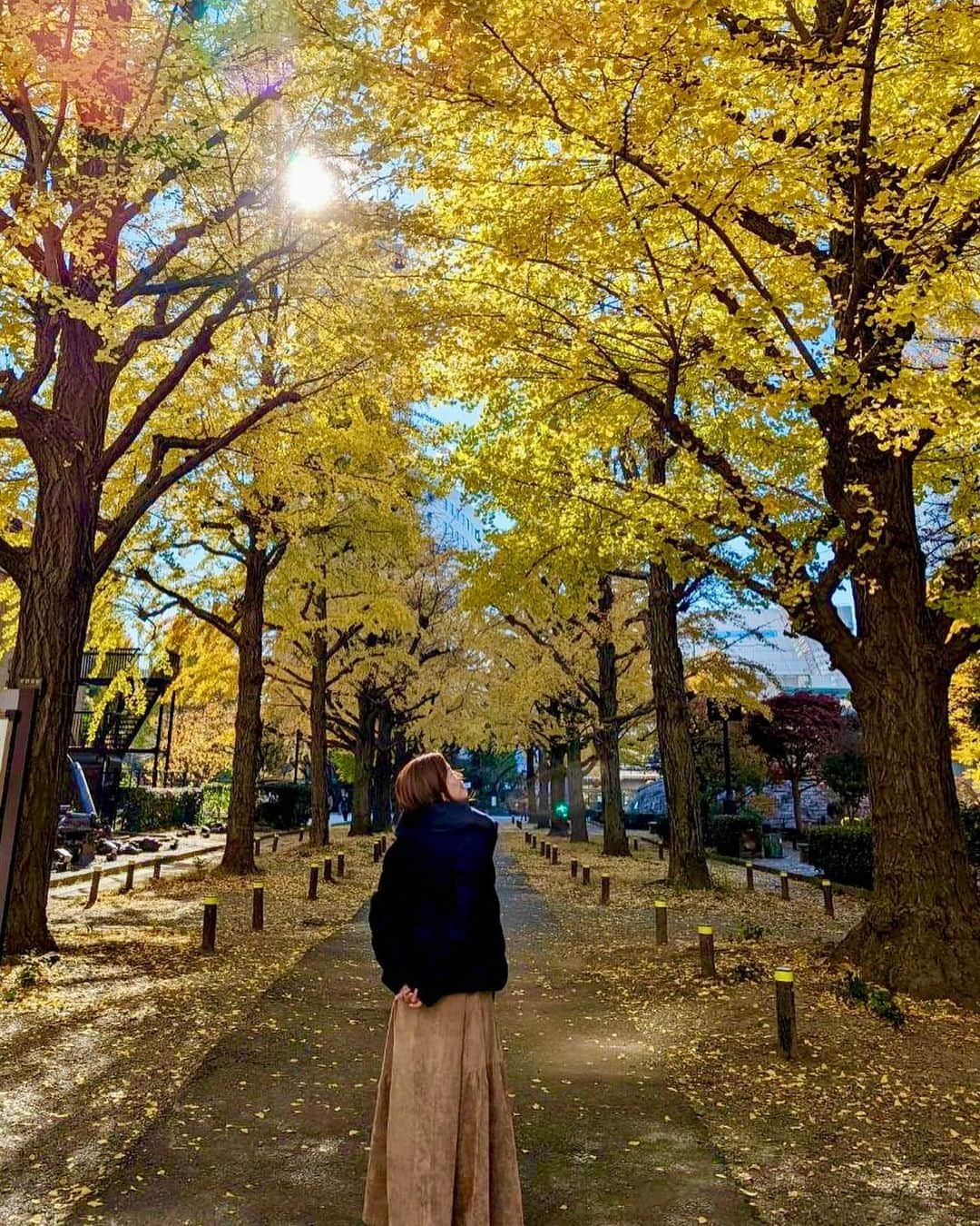 巴山萌菜さんのインスタグラム写真 - (巴山萌菜Instagram)「冬になってきたけど..紅葉が綺麗な所もまだあって、もう少し秋も感じられる場所がありそうですね〜🐿🌰🍁🍂✨️  Q)ねね、もうこたつ出した？   #紅葉 #いちょう並木 #秋の風景  #秋服コーデ」12月5日 18時00分 - mona_tomoyama