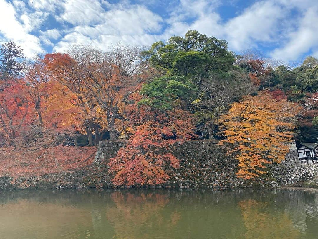 前田志良さんのインスタグラム写真 - (前田志良Instagram)「今日は、朝早くから、佐和山城と彦根城に行ってきました✨ 両方とも紅葉がきれいで、佐和山城は坂がきつくて頂上に登った時はすごく嬉しかったです😄  #彦根城　#ひこにゃん　#佐和山城　#一人旅　#石田三成　#井伊直政　#144cmの先輩」12月4日 12時15分 - bikoon.shiro