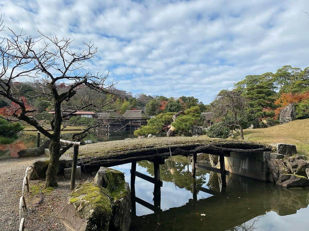 前田志良さんのインスタグラム写真 - (前田志良Instagram)「今日は、朝早くから、佐和山城と彦根城に行ってきました✨ 両方とも紅葉がきれいで、佐和山城は坂がきつくて頂上に登った時はすごく嬉しかったです😄  #彦根城　#ひこにゃん　#佐和山城　#一人旅　#石田三成　#井伊直政　#144cmの先輩」12月4日 12時15分 - bikoon.shiro