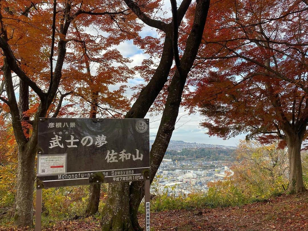 前田志良さんのインスタグラム写真 - (前田志良Instagram)「今日は、朝早くから、佐和山城と彦根城に行ってきました✨ 両方とも紅葉がきれいで、佐和山城は坂がきつくて頂上に登った時はすごく嬉しかったです😄  #彦根城　#ひこにゃん　#佐和山城　#一人旅　#石田三成　#井伊直政　#144cmの先輩」12月4日 12時15分 - bikoon.shiro