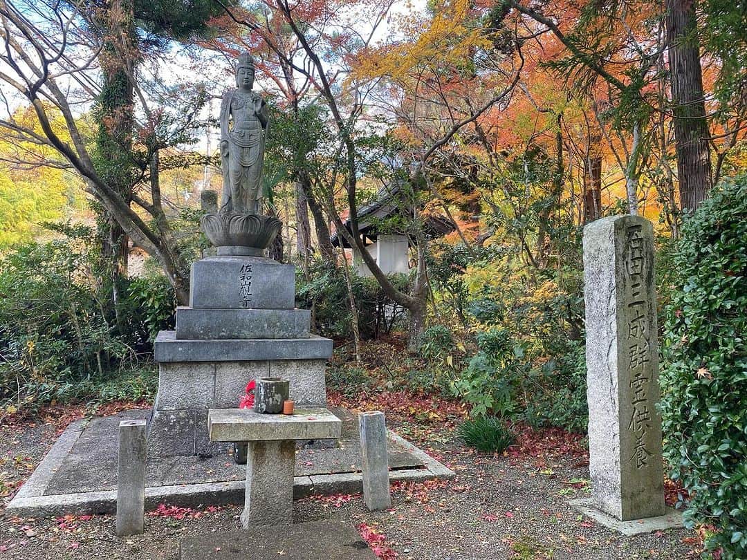 前田志良さんのインスタグラム写真 - (前田志良Instagram)「今日は、朝早くから、佐和山城と彦根城に行ってきました✨ 両方とも紅葉がきれいで、佐和山城は坂がきつくて頂上に登った時はすごく嬉しかったです😄  #彦根城　#ひこにゃん　#佐和山城　#一人旅　#石田三成　#井伊直政　#144cmの先輩」12月4日 12時15分 - bikoon.shiro