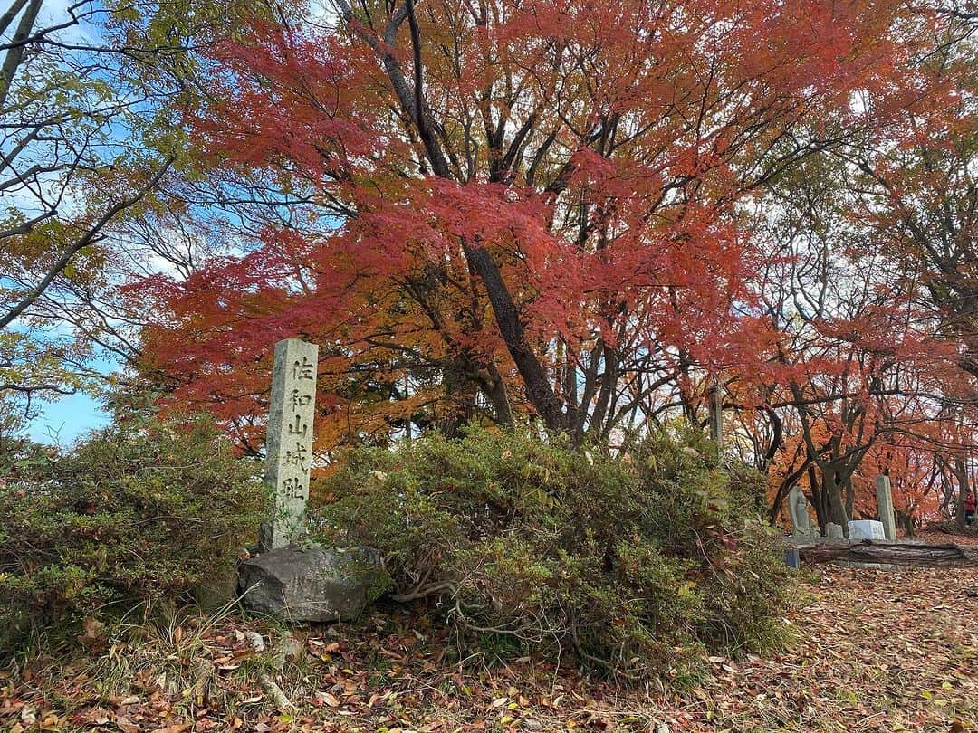 前田志良さんのインスタグラム写真 - (前田志良Instagram)「今日は、朝早くから、佐和山城と彦根城に行ってきました✨ 両方とも紅葉がきれいで、佐和山城は坂がきつくて頂上に登った時はすごく嬉しかったです😄  #彦根城　#ひこにゃん　#佐和山城　#一人旅　#石田三成　#井伊直政　#144cmの先輩」12月4日 12時15分 - bikoon.shiro