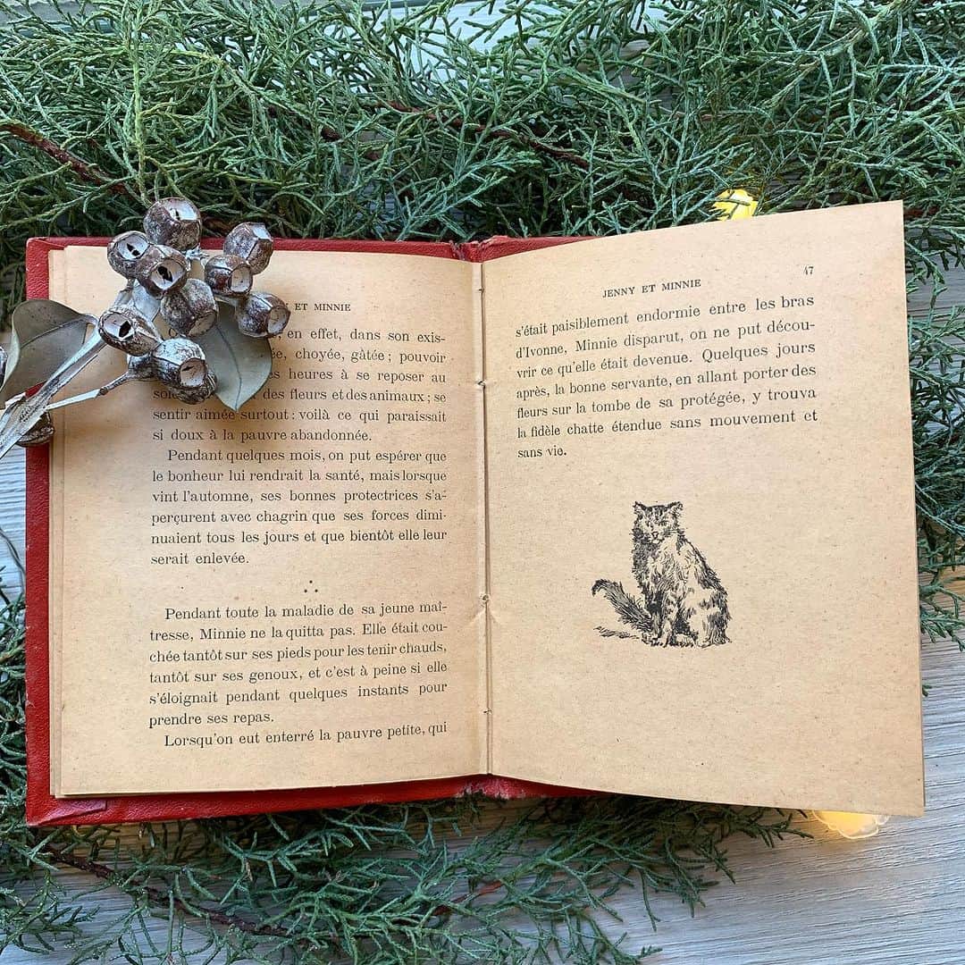 稚野鳥子さんのインスタグラム写真 - (稚野鳥子Instagram)「ジェニーという名の少女とミニーという名の猫のお話。 最後はちょっと悲しい結末なのですけどね.... 所々に猫ちゃんの野生味溢れるイラストがあります。  #クリスマスプレゼント #少女と猫のお話 #猫のイラスト #装丁が素敵 #クリスマスカラー #フランス児童書 #フランスの本 #古い本 #恵比寿アンティークショップ」12月4日 12時49分 - toricolore_shop