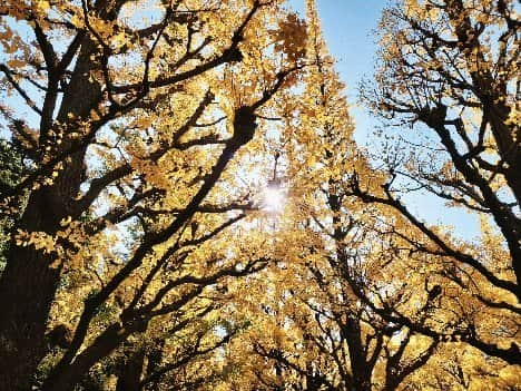 桜羽萌子のインスタグラム