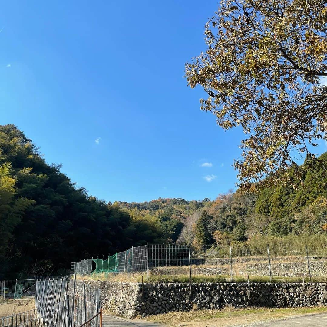 佐野史郎さんのインスタグラム写真 - (佐野史郎Instagram)「#大河内明神 跡地 #三重県松阪市矢津 #鏡の乙女 #小泉八雲 #八雲八橋柱神社  #小津安二郎 生誕120年記念のイベントで、小津監督が19歳の時に代用教員として勤めていた松阪市飯高にお招きいただきました。 以前、NHKの「鶴瓶の家族に乾杯！」でお邪魔して以来。 #飯高オーヅ会 のみなさまに大変暖かくおもてなしいただきました。(飯高では小津をオーヅと伸ばして言うのです) で、その帰り、「大河内」の文字が飛び込んできたので、「これはもしや？」とご案内いただいたのが大河内明神の跡地。 #小泉八雲 の「鏡の乙女」に登場する神社です。 最近、朗読で取り上げたばかりでもあり、聖地巡礼と相成りました。 あ、大河内は「おかわち」と読みます。 近くには #八雲八柱神社 も‼︎ #龍蛇さま もいらっしゃいました。  明治新政府による廃仏毀釈、神社の合祀で統合された地域の土着神の声が、出雲と繋がるようで…。 松阪は本居宣長がおりますし、伊勢の周辺と出雲のつながりの深さを実感した今回の松阪でした。 小津安二郎監督、松阪市のみなさま、飯高オーヅ会のみなさま、本当にありがとうございました‼︎😌🙏  大河内明神の跡地、何もないので、是非、石碑をば！ 戦国の世、宮司であった松村兵庫の想いも受けて、神社再興なるか⁉︎😅」12月4日 12時55分 - sanovabitch