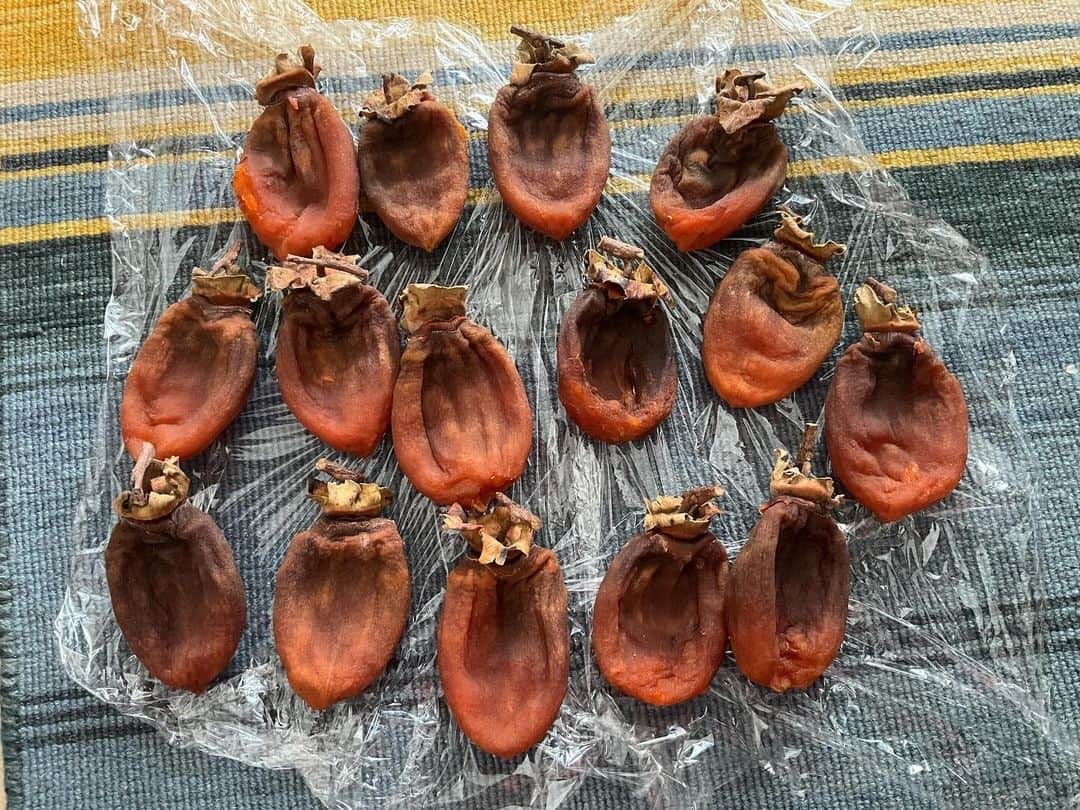野島健児さんのインスタグラム写真 - (野島健児Instagram)「干柿できた 都内でも簡単に自分で作れるのね お好みの柔らかさに出来るのが醍醐味だわ  極上の甘味」12月4日 13時10分 - nojima_kenji